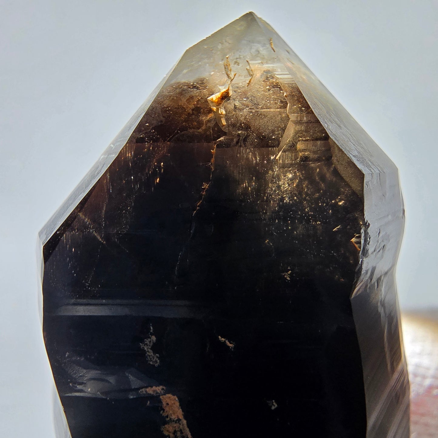Sceptre de poche Saint-Valentin en quartz fumé fantôme squelette, Namibie 66 x 30 x 22 mm