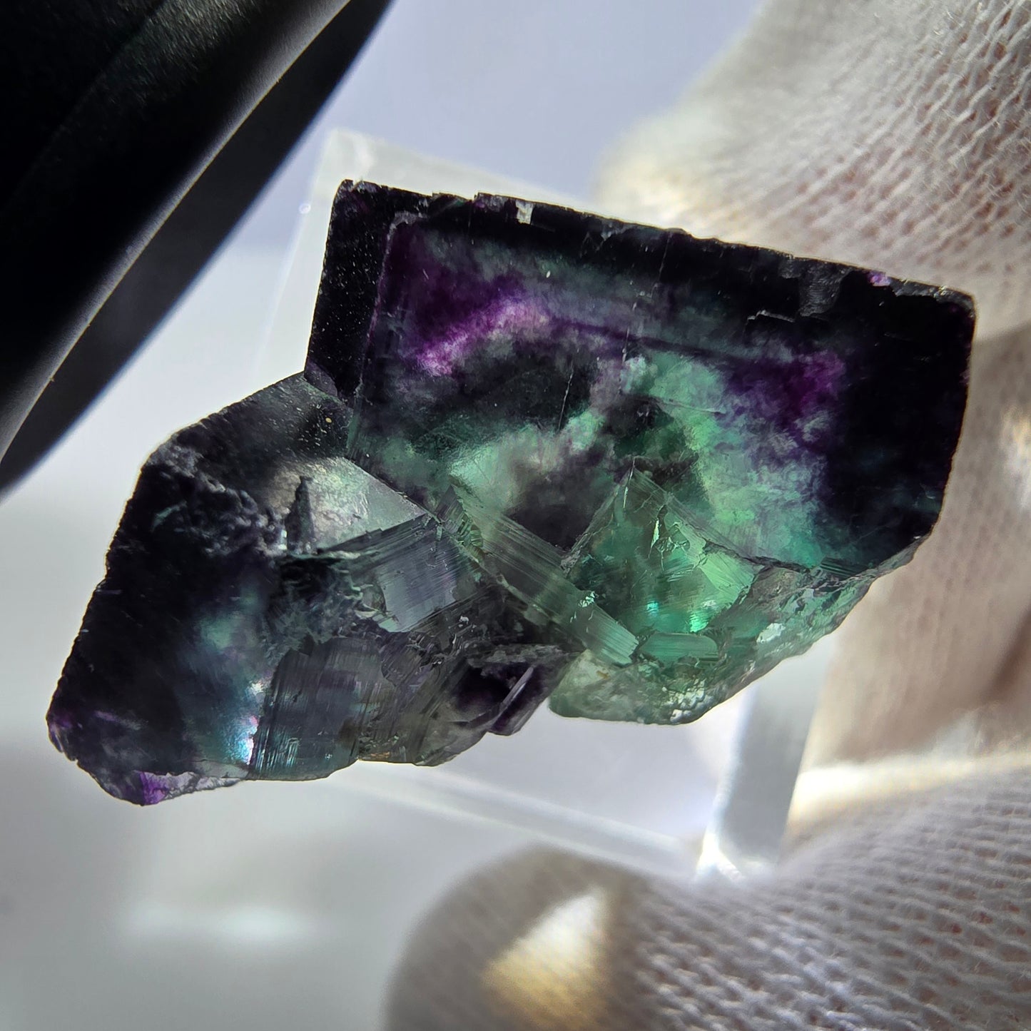 Rare spécimen de cube de fluorite fantôme, vert zonal et violet, Okorusu, Namibie, 30 x 23 x 19 mm