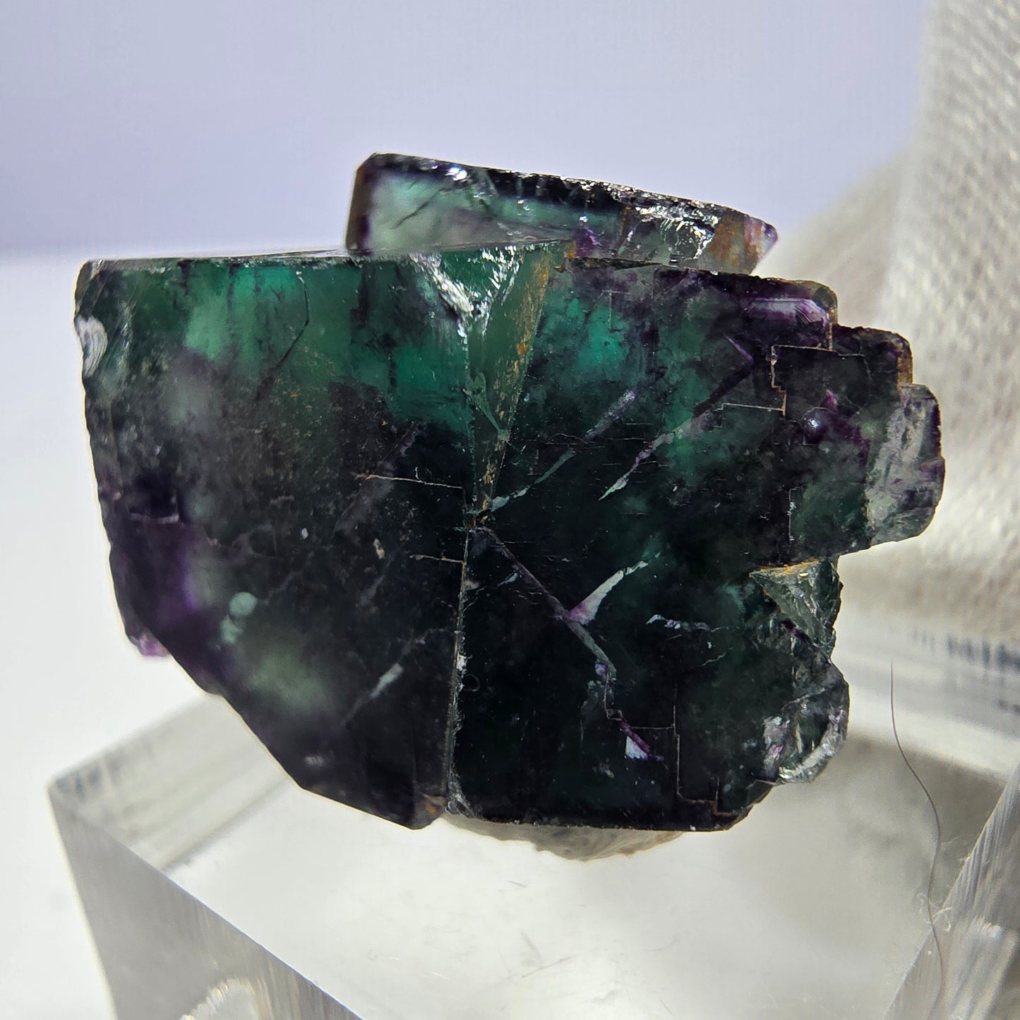 Rare spécimen de cube de fluorite fantôme, vert-violet zonal, Okorusu, Namibie, 26 x 21 x 18 mm