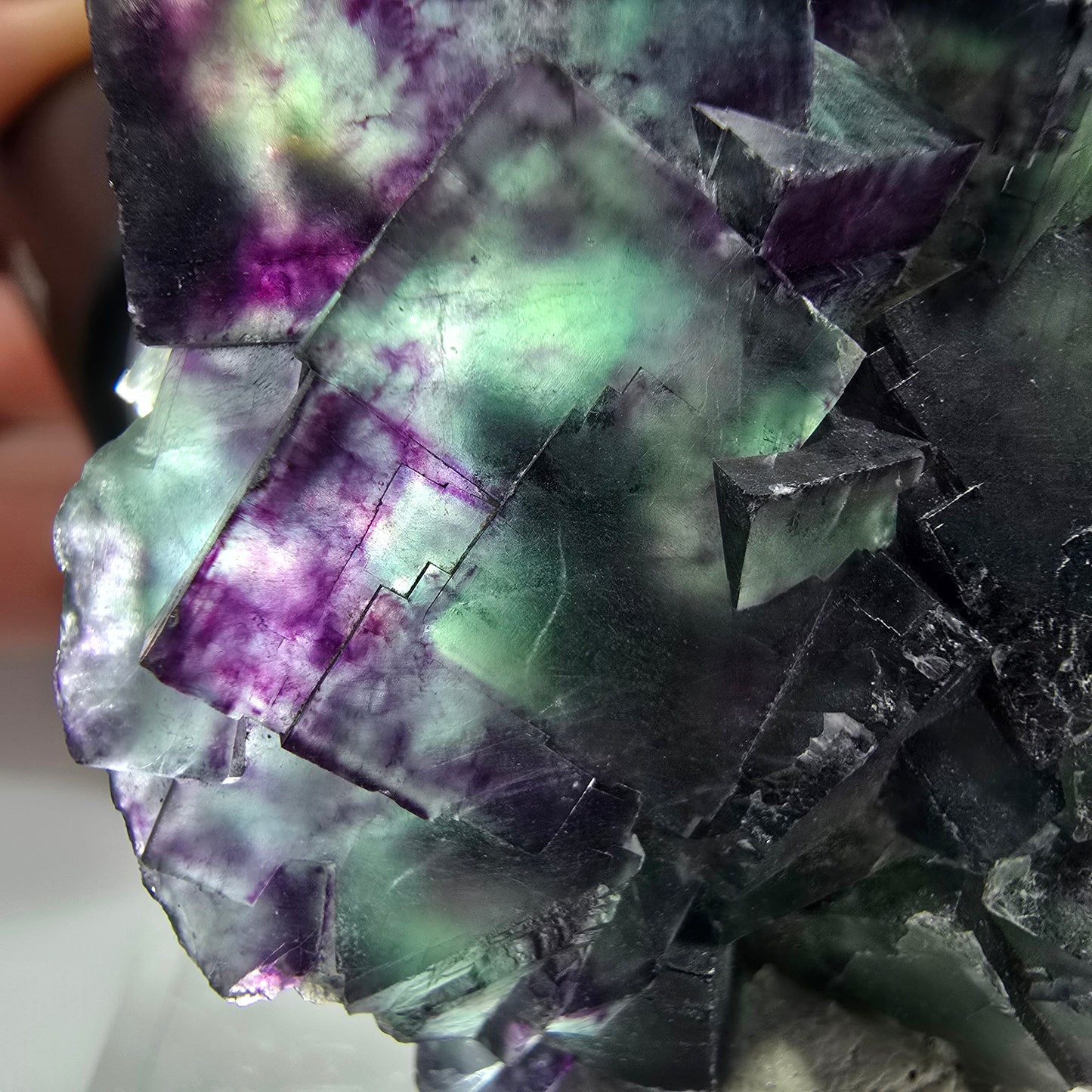 Spécimen rare de cube de fluorite fantôme, vert zonal et violet, Okorusu, Namibie, 49 x 47 x 18 mm