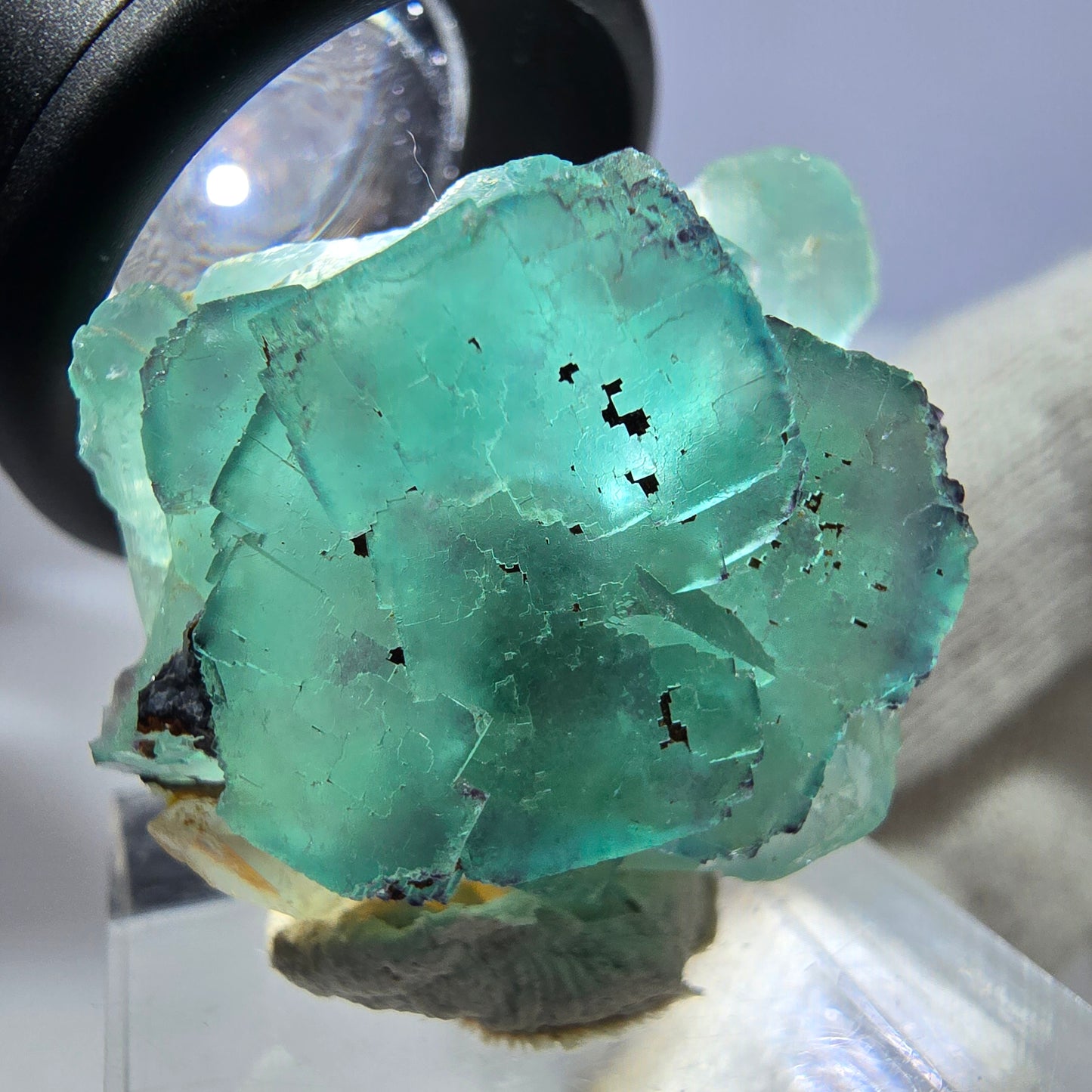 Spécimen de cube de fluorite fantôme parqueté zonal Okorusu, Namibie 34*27*19mm