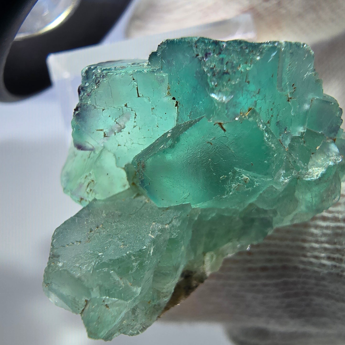 Spécimen de cube de fluorite fantôme parqueté zonal Okorusu, Namibie 34*27*19mm