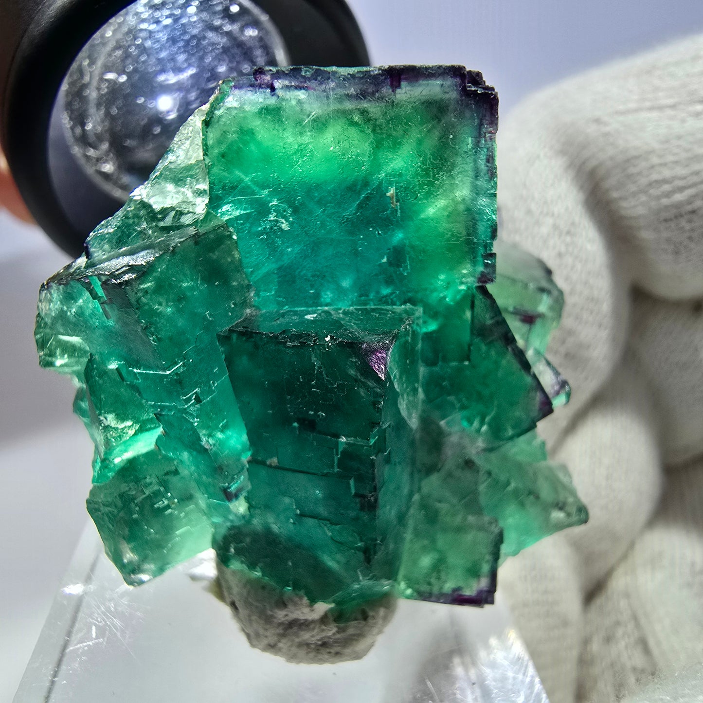 Spécimen rare de cube de fluorite fantôme, vert zonal et violet, Okorusu, Namibie, 39 x 34 x 19 mm