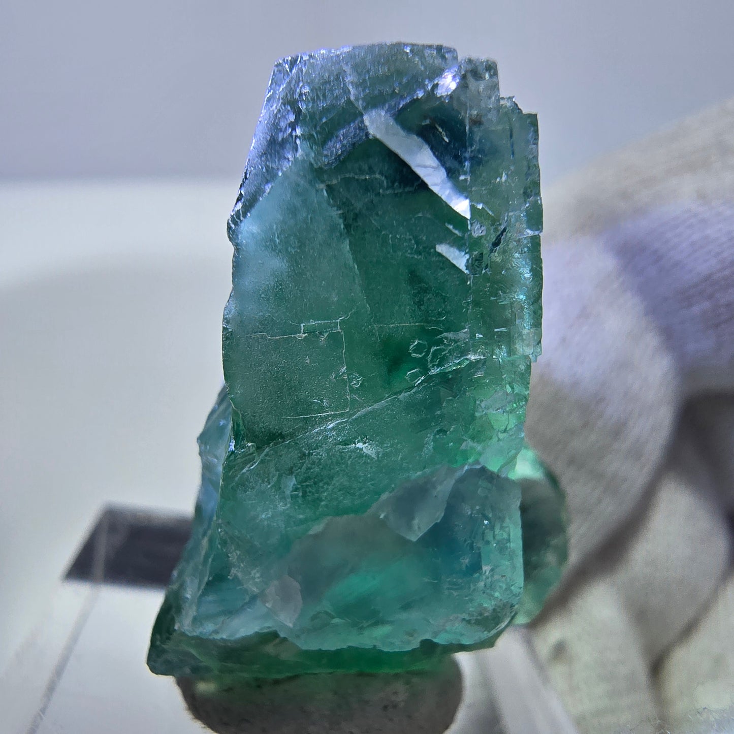 Spécimen de cube de fluorite fantôme, parqueté, vert turquoise Okorusu, Namibie 29*24*19mm