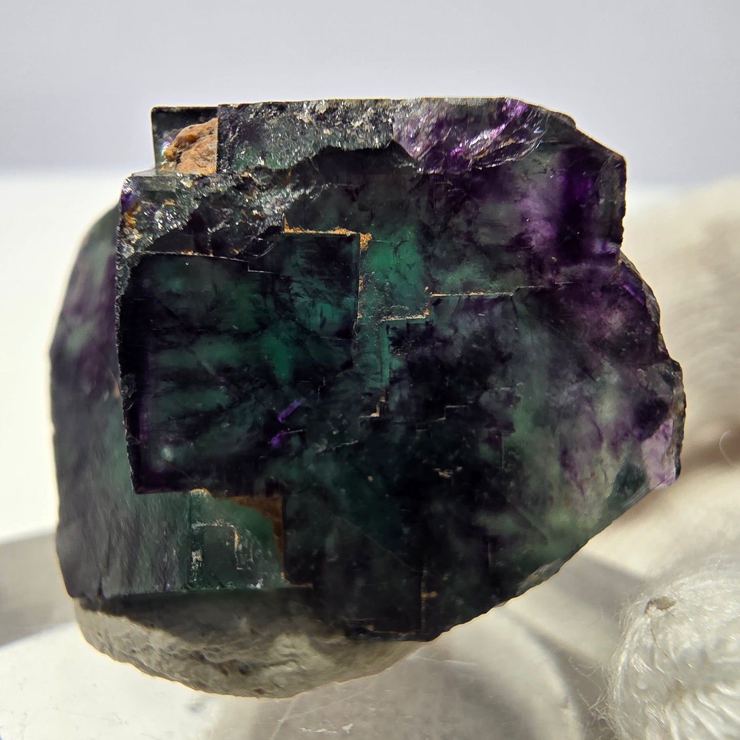 Spécimen rare de cube de fluorite fantôme, vert zonal et violet, Okorusu, Namibie, 30 x 21 x 17 mm