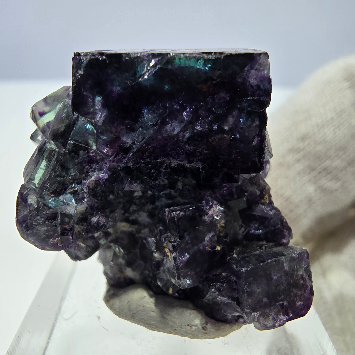 Spécimen rare de cube de fluorite fantôme, vert zonal et violet, Okorusu, Namibie, 32 x 29 x 18 mm
