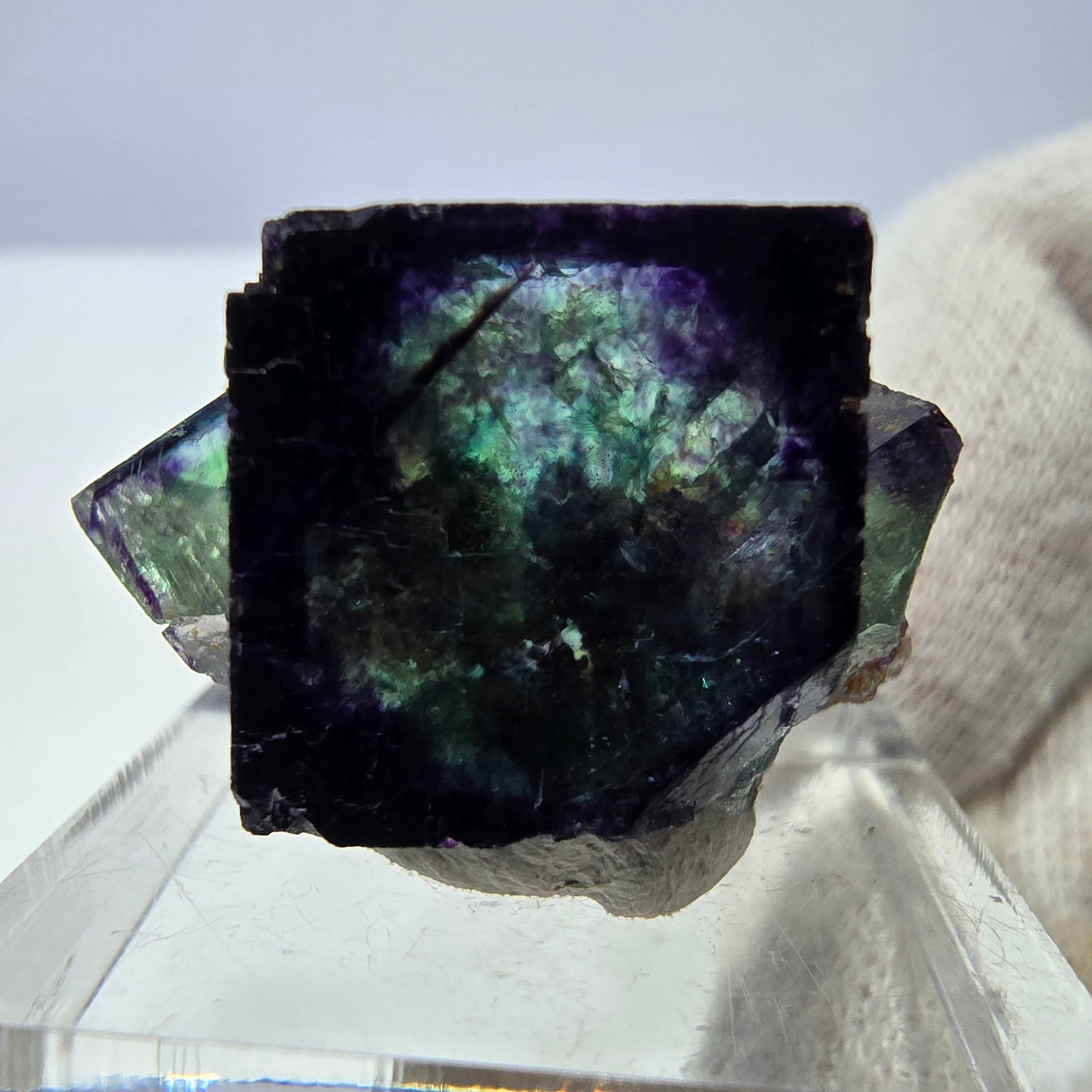 Spécimen rare de cube de fluorite fantôme, vert zonal et violet, Okorusu, Namibie, 28 x 16 x 18 mm