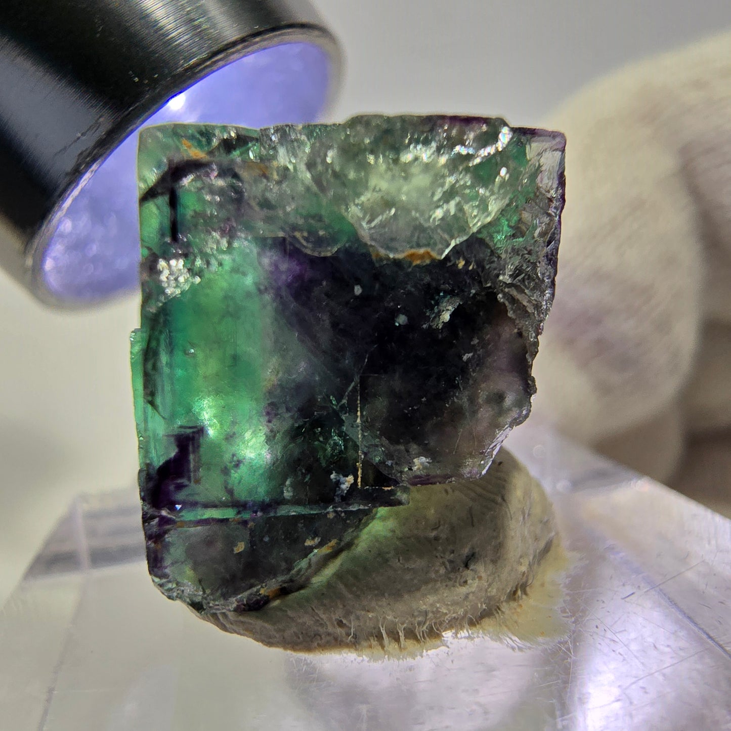Spécimen rare de cube de fluorite fantôme, vert zonal et violet, Okorusu, Namibie, 19 x 21 x 13 mm