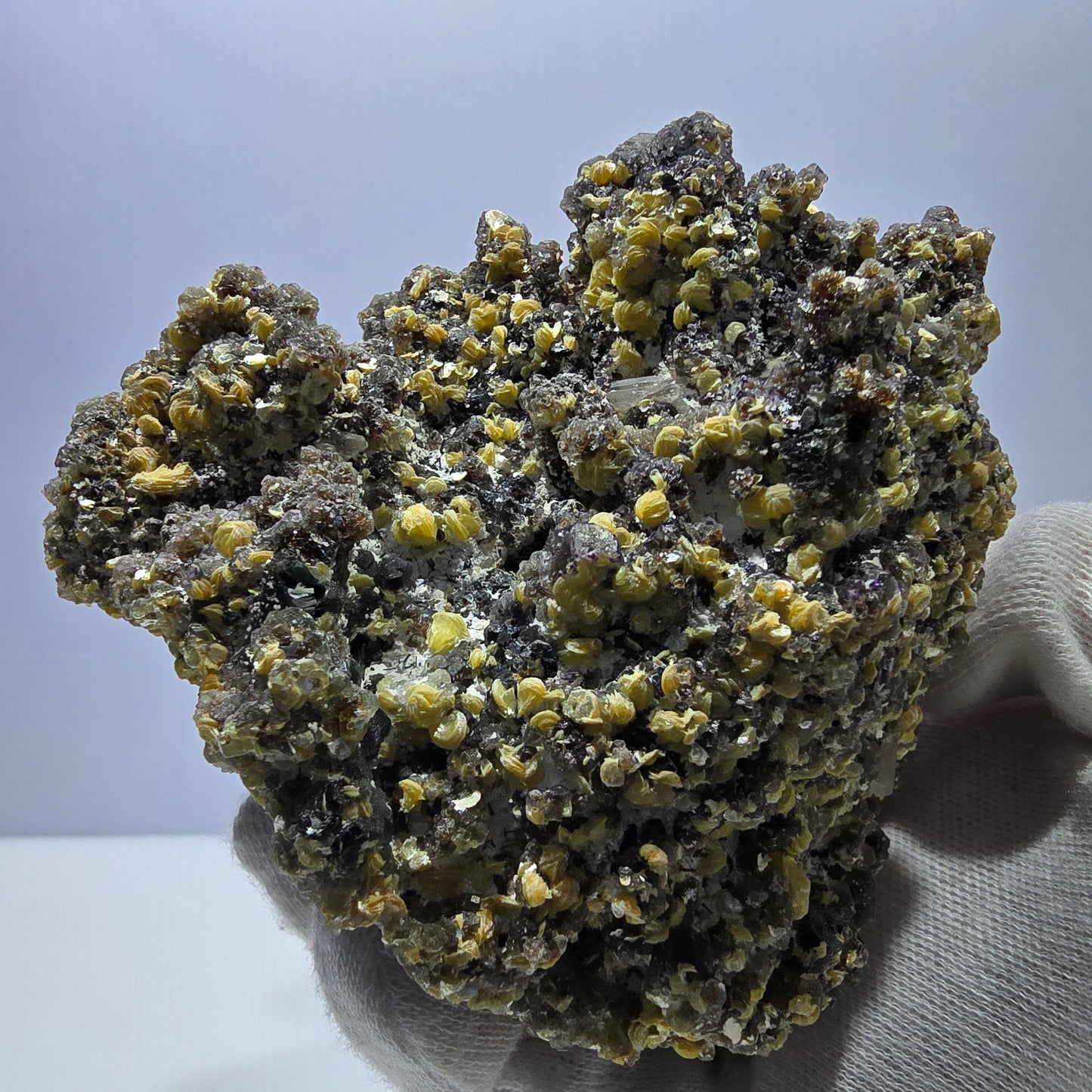 Fluorite fantôme XL, muscovite, hyalite, quartz fumé, tourmaline Schörl, Erongo, Namibie, 100 x 97 x 69 mm