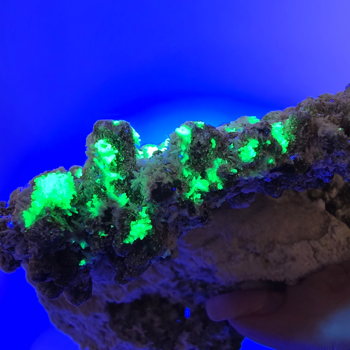 Grand spécimen de fluorite, hyalite, scholle, tourmaline, muscovite, orthose, Erongo, Namibie, 126 x 99 x 78 mm