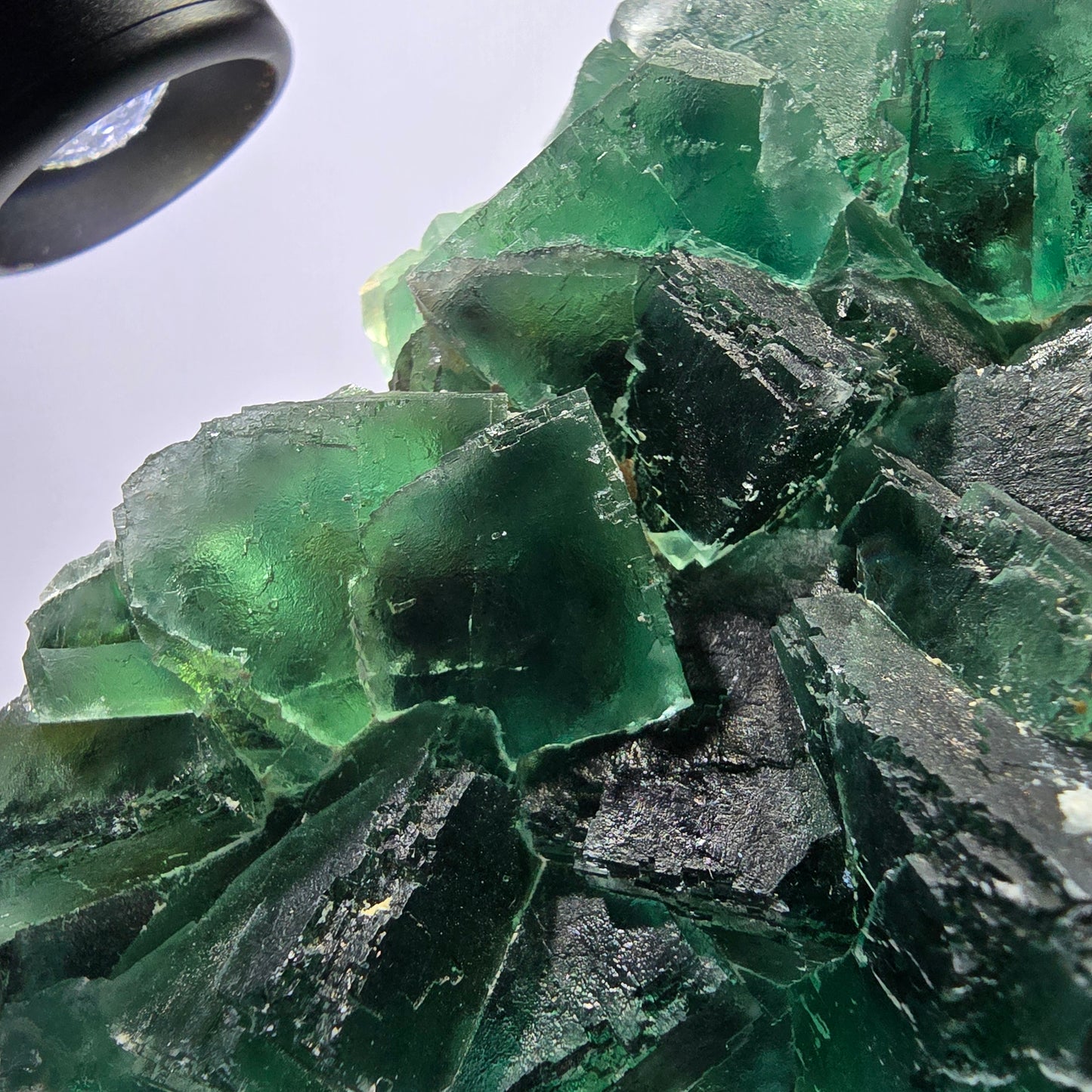 Grand spécimen de cube de fluorite fantôme, vert parqueté Okorusu Namibie 113*95*54mm