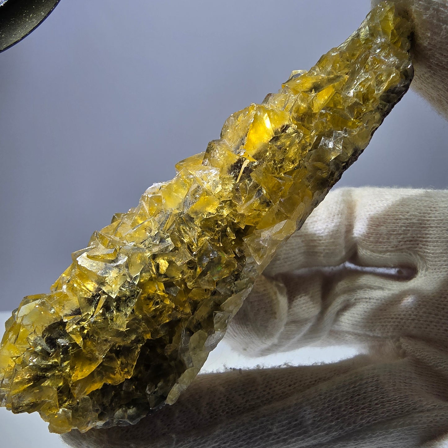 Grand spécimen de cube de fluorite fantôme, poche jaune miel, Okorusu, Namibie, 101 x 30 x 34 mm