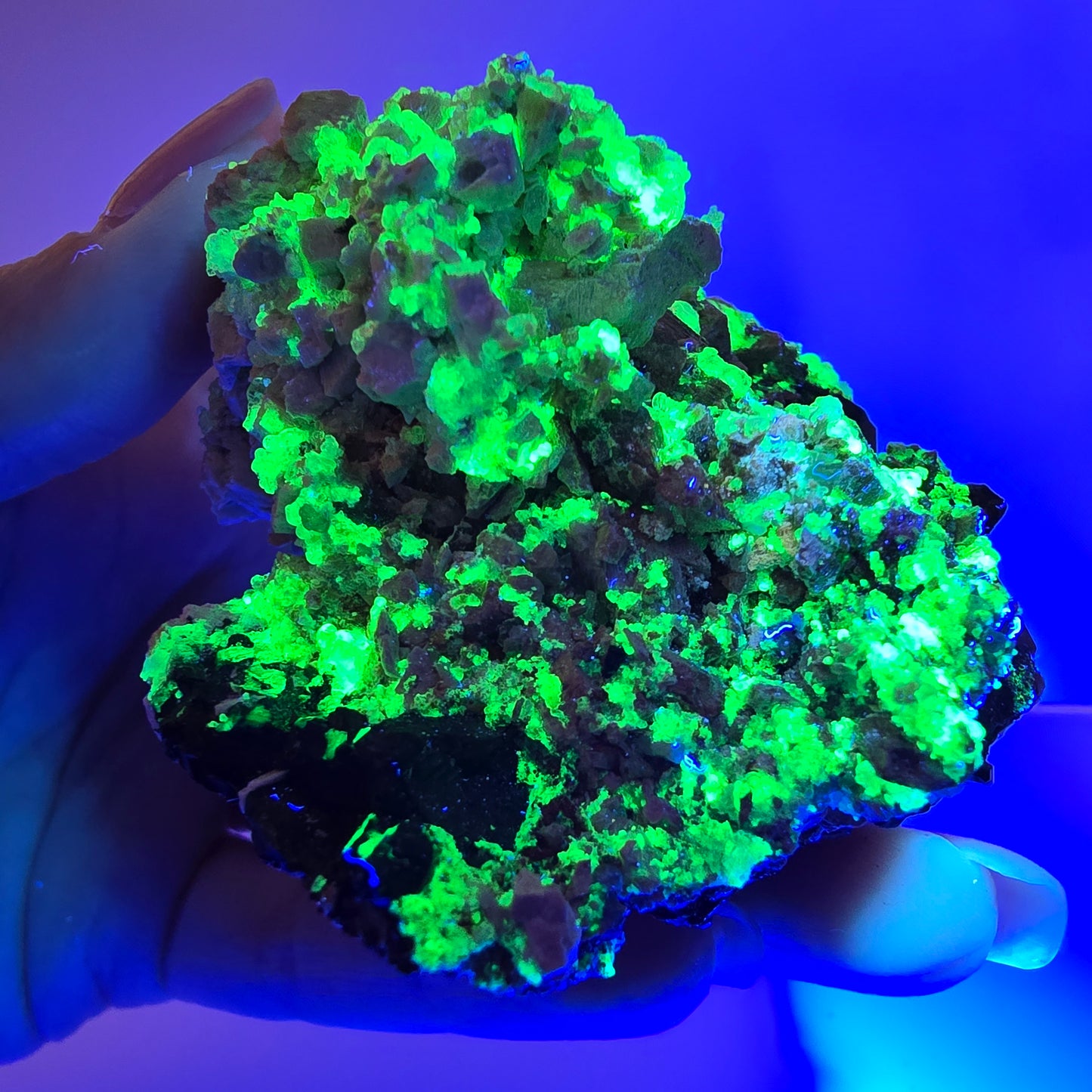 Grand spécimen d'aigue-marine, de tourmaline schorl, d'hyalite et d'orthose, Erongo, Namibie, 107 x 70 x 45 mm