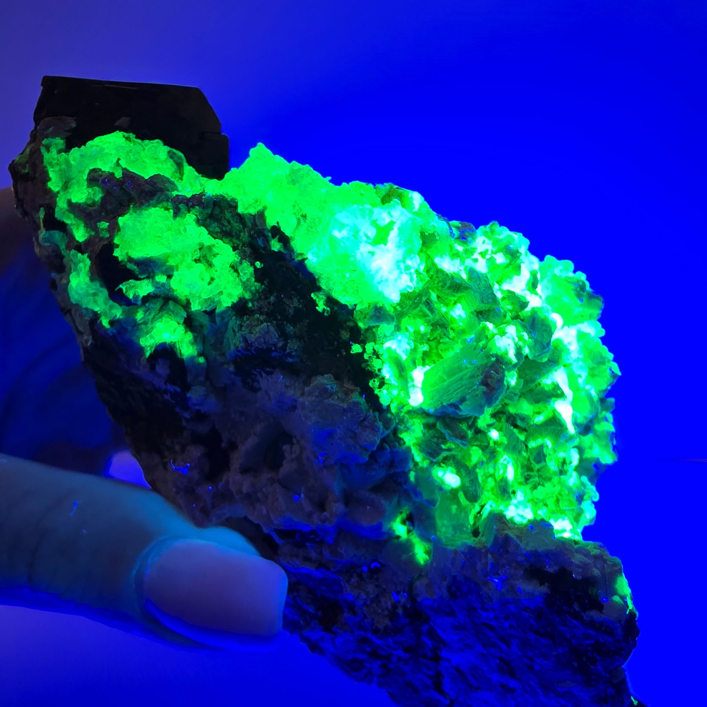 Grand spécimen d'aigue-marine, de tourmaline schorl, d'hyalite et d'orthose, Erongo, Namibie, 107 x 70 x 45 mm