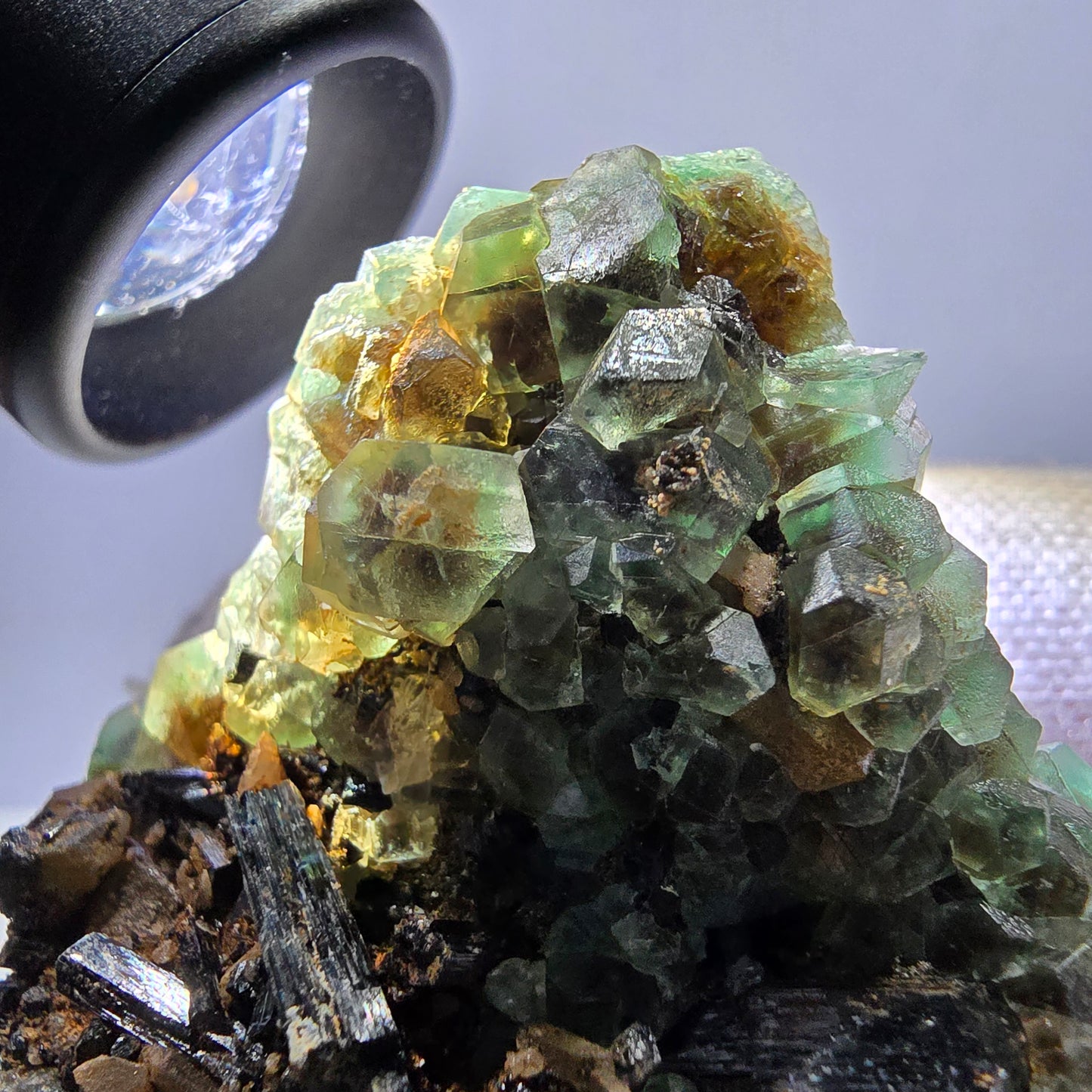 Fluorite fantôme Schörl Tourmaline Hyalite Quartz fumé Erongo Namibie 77*60*57mm