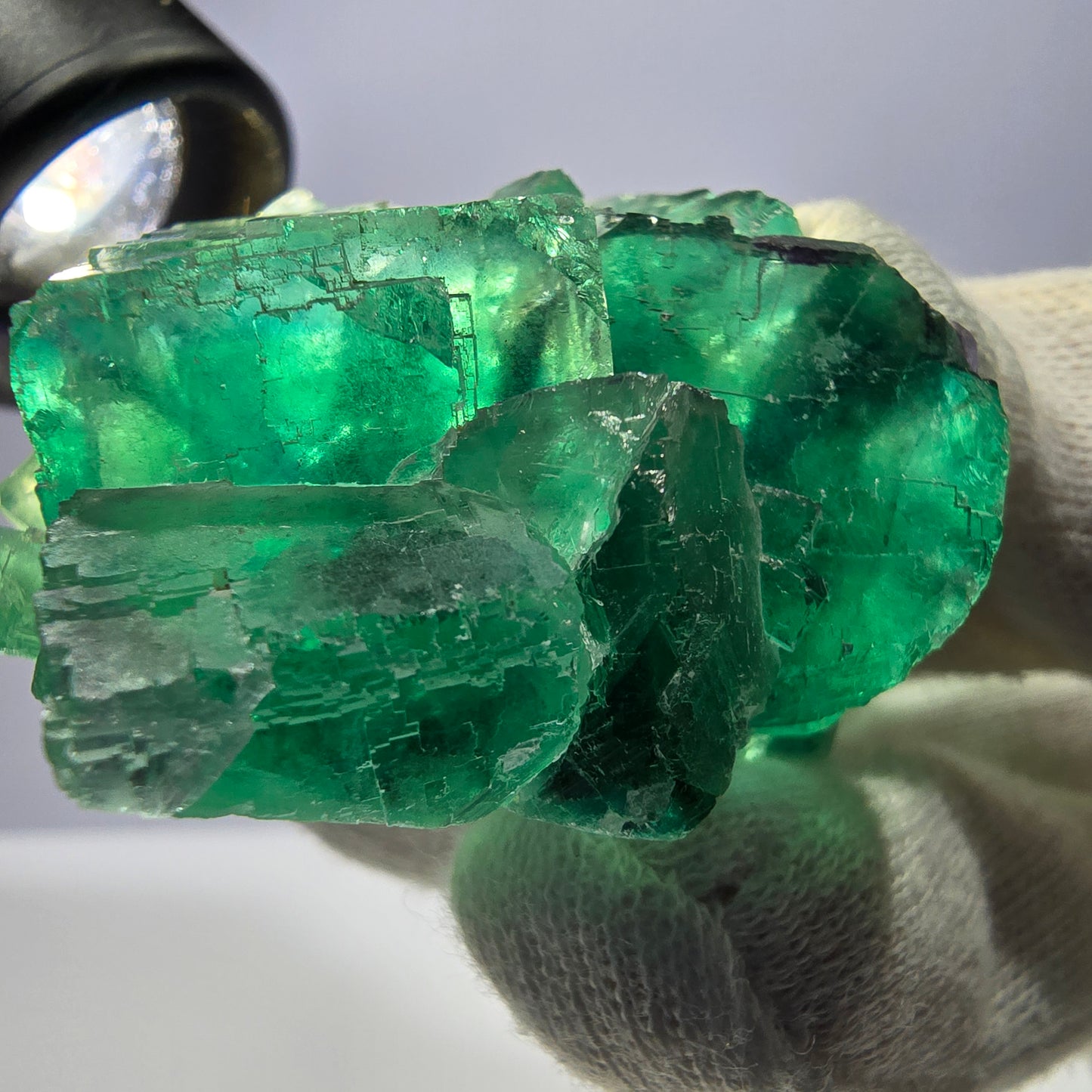 Rare spécimen de cube de fluorite fantôme, parqueté vert Okorusu, Namibie, 74 x 50 x 30 mm