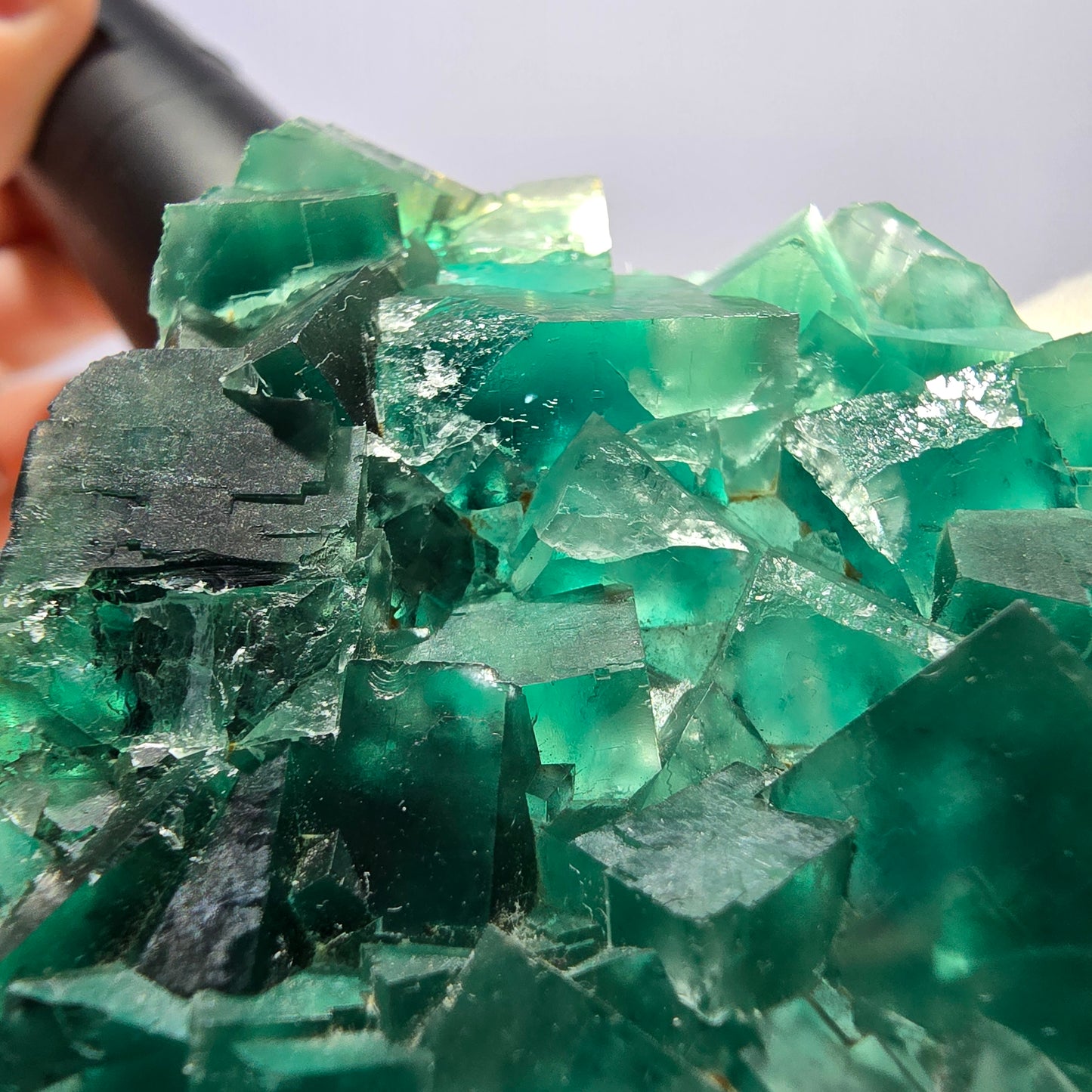Cube de fluorite fantôme parqueté vert violet Okorusu Namibie 60*54*15mm
