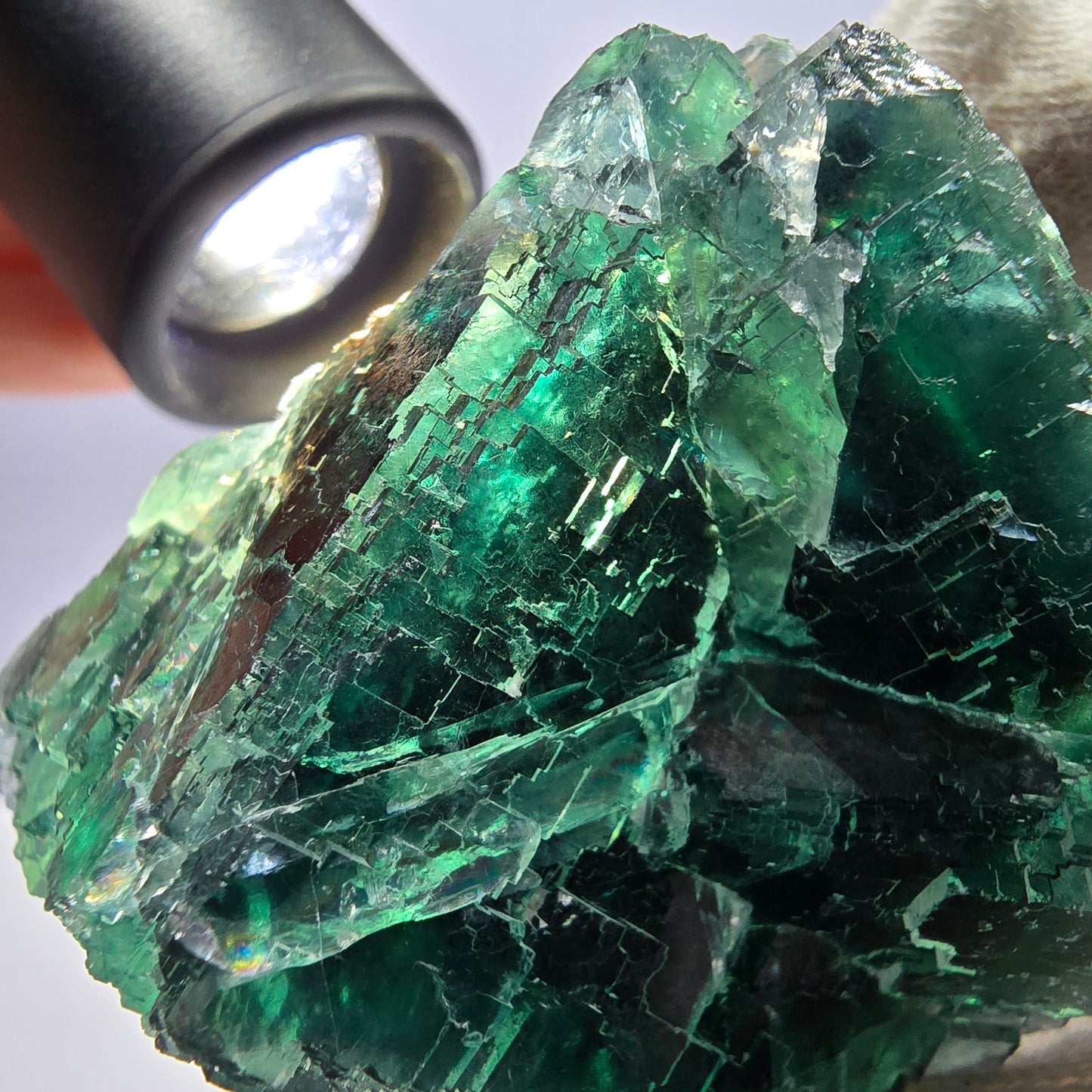 Cube de fluorite fantôme parqueté vert violet Okorusu Namibie 65*61*37mm