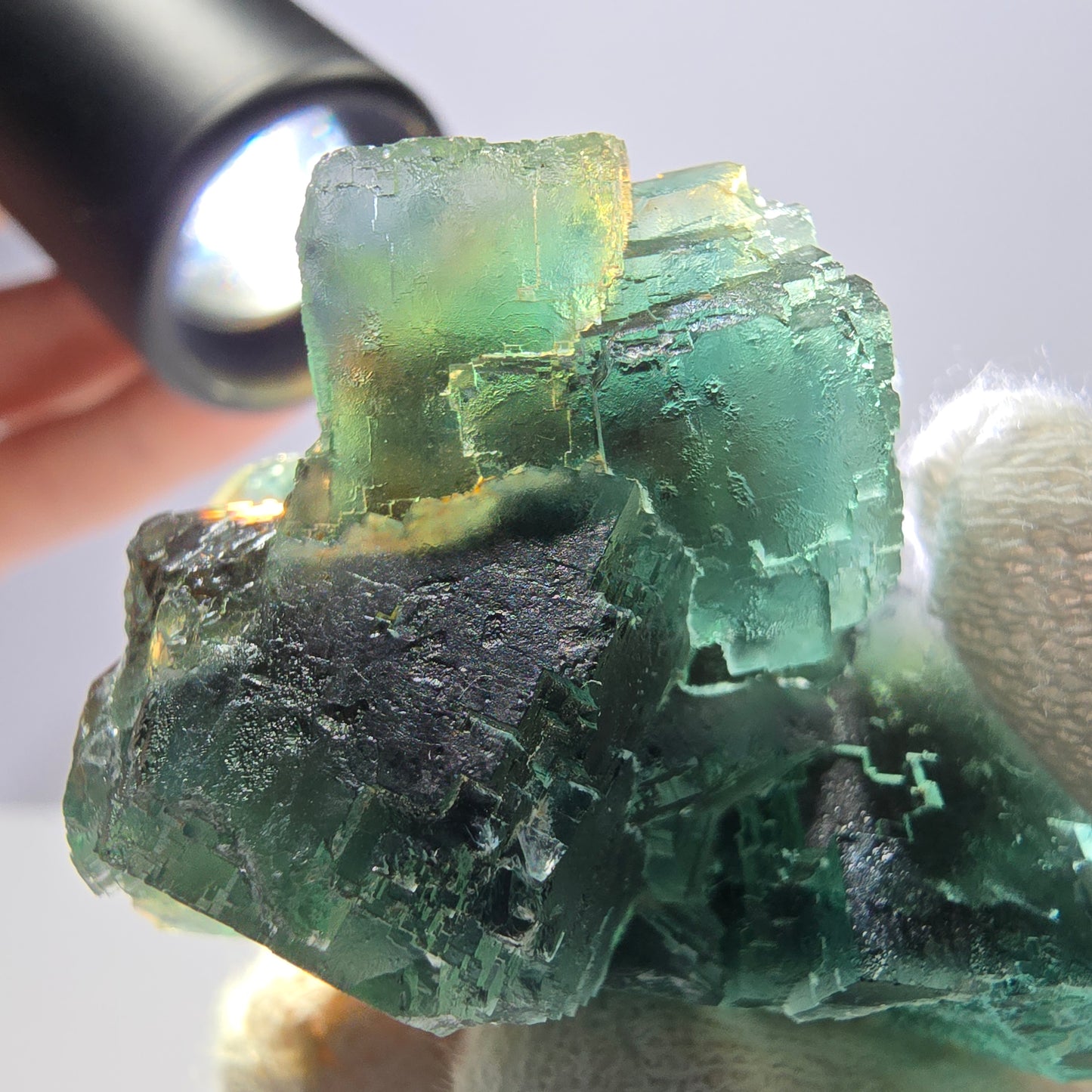 Rare spécimen de cube de fluorite fantôme, parqueté vert Okorusu, Namibie, 47 x 31 x 28 mm