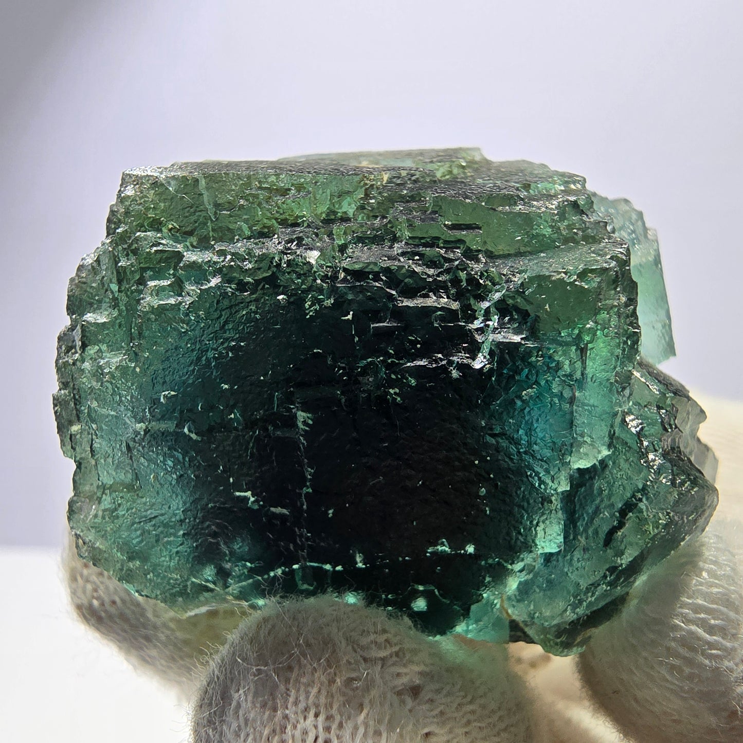 Rare spécimen de cube de fluorite fantôme, parqueté vert Okorusu, Namibie, 48 x 37 x 37 mm