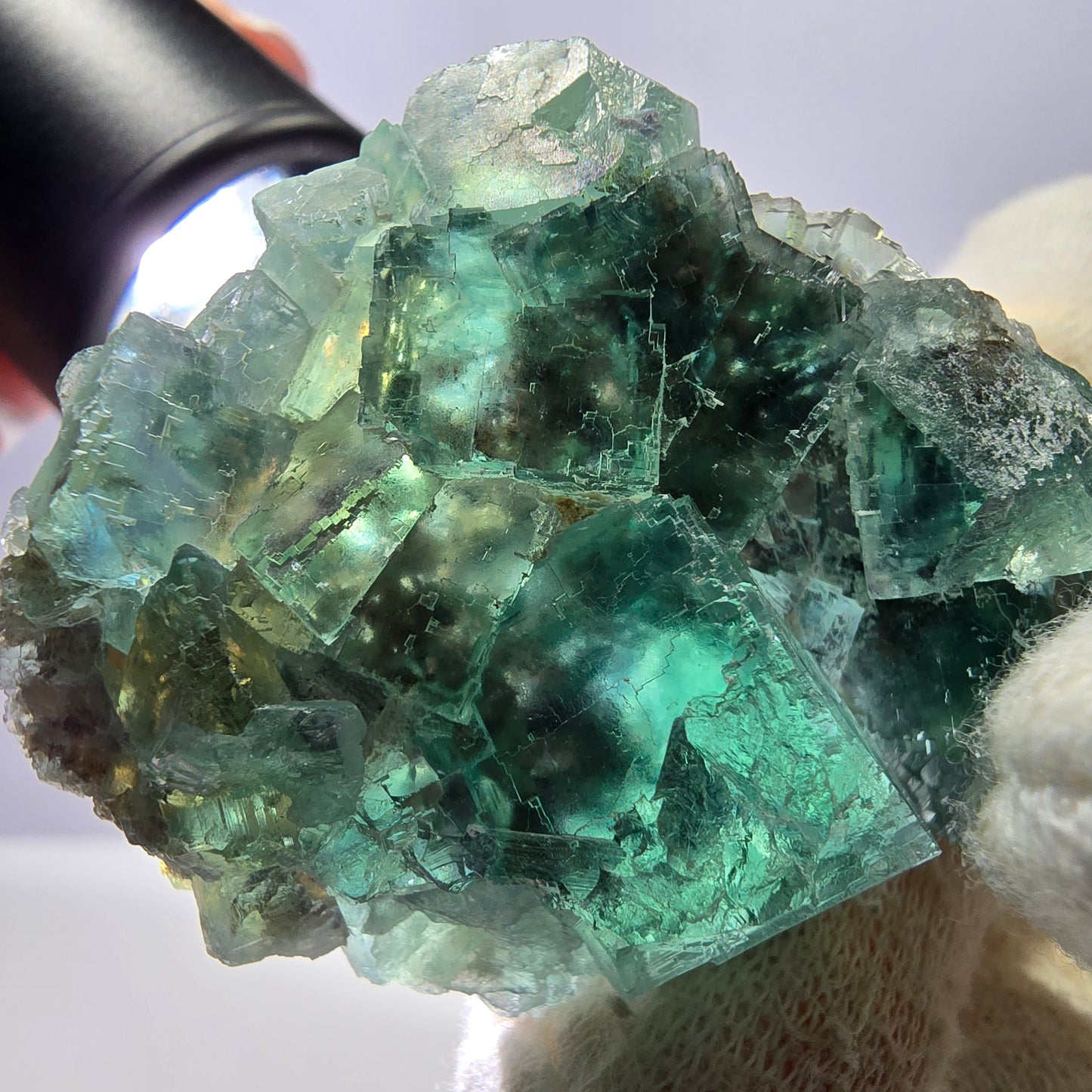 Rare spécimen de cube de fluorite fantôme, parqueté vert Okorusu, Namibie, 62 x 39 x 19 mm