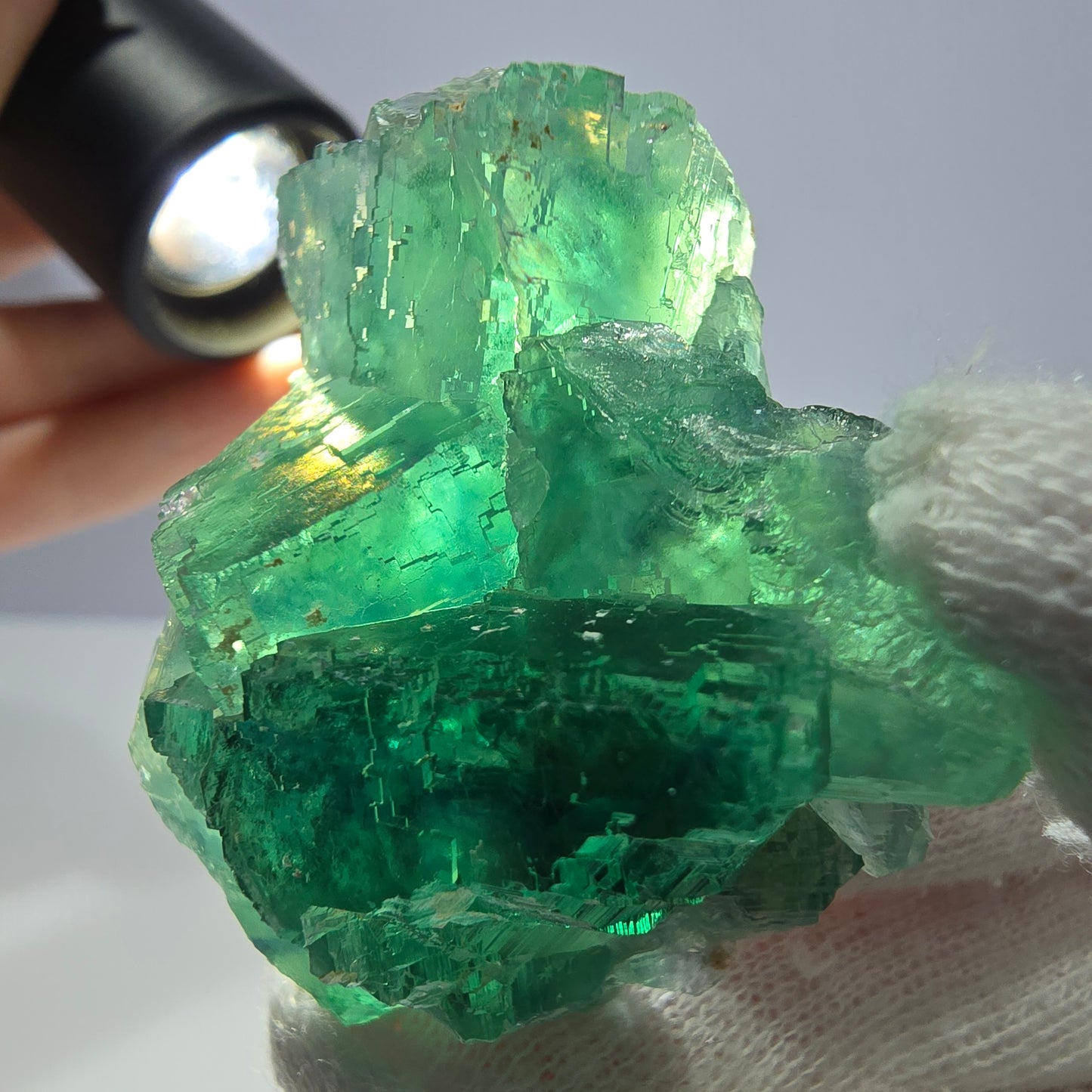 Rare spécimen de cube de fluorite fantôme, parqueté vert Okorusu, Namibie, 47 x 42 x 25 mm