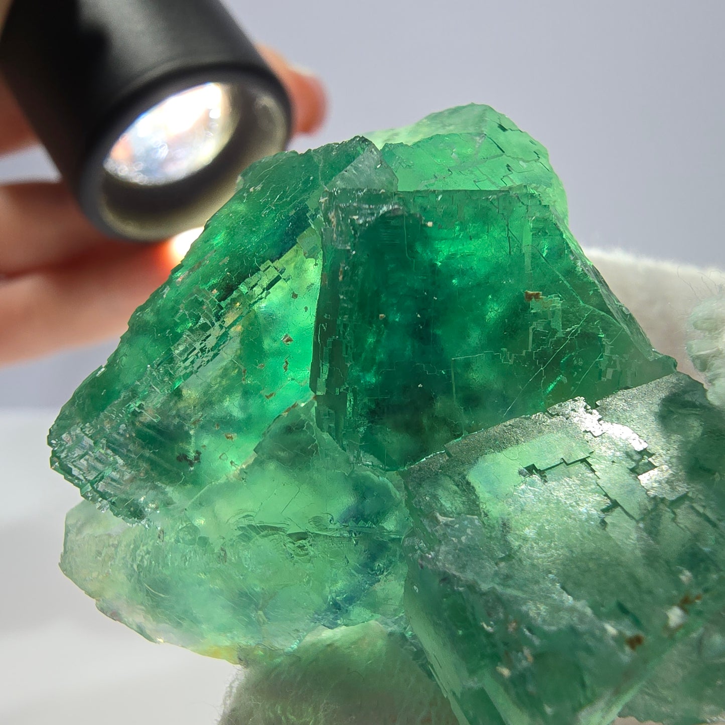 Rare spécimen de cube de fluorite fantôme, parqueté vert Okorusu, Namibie, 47 x 42 x 25 mm