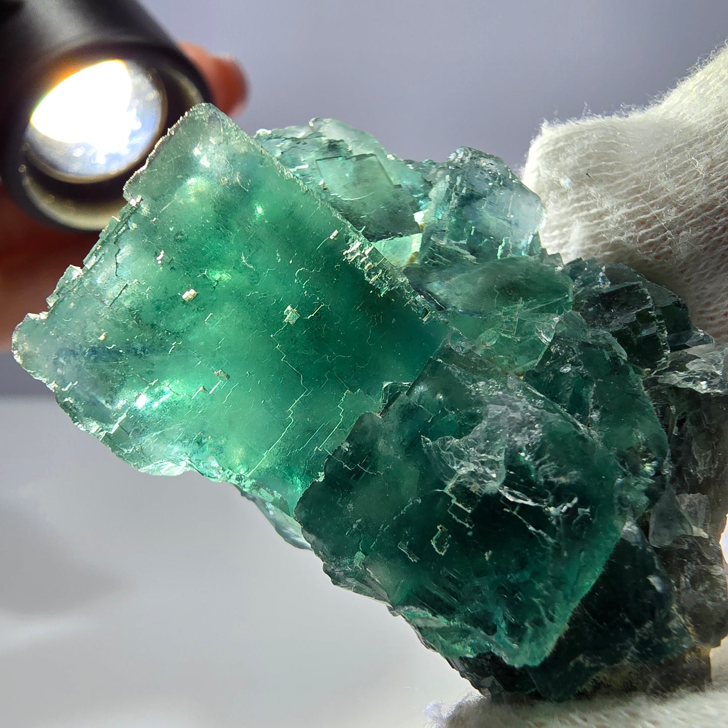 Rare spécimen de cube de fluorite fantôme, parqueté vert Okorusu, Namibie, 50 x 34 x 23 mm