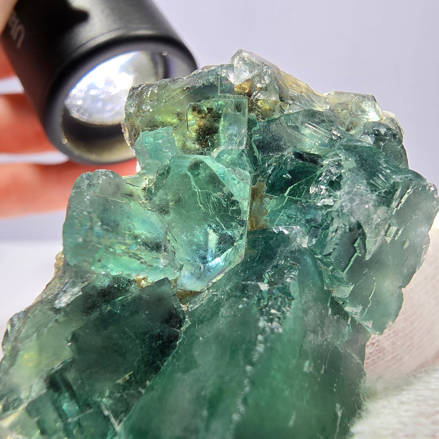 Rare spécimen de cube de fluorite fantôme, parqueté vert Okorusu, Namibie, 50 x 34 x 23 mm