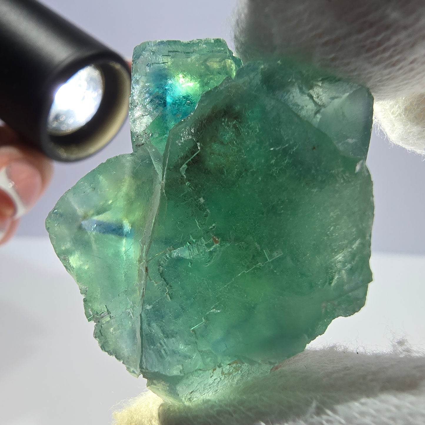 Rare spécimen de cube de fluorite fantôme, parqueté vert Okorusu, Namibie, 48 x 32 x 27 mm