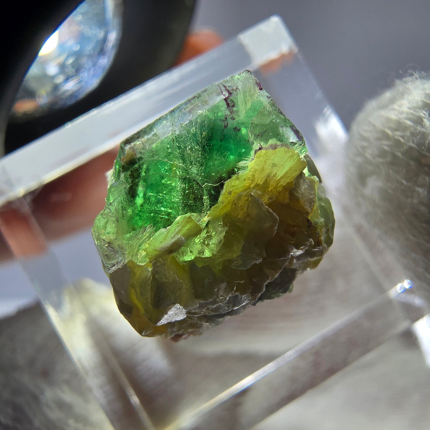 Phantom Fluorit Würfel, Muskovit Stufe Erongo, Namibia 15*15*13