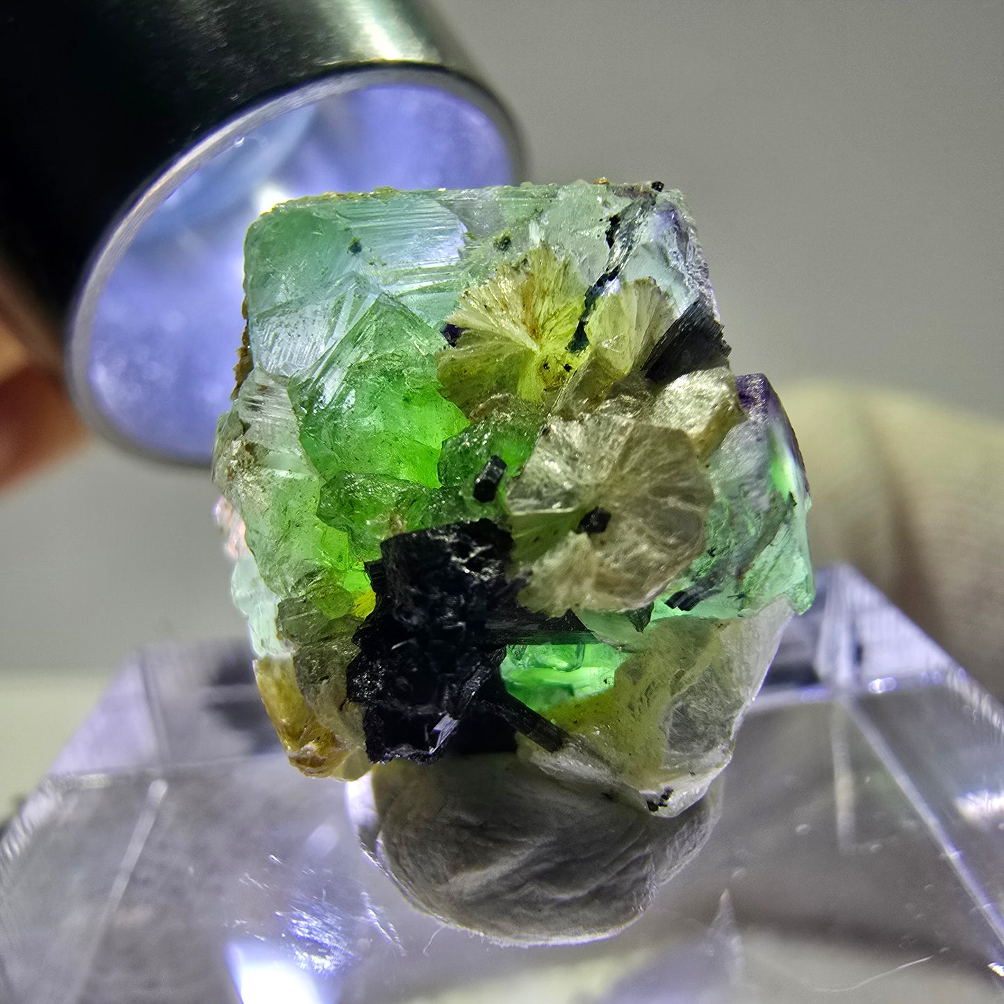 Cube de fluorite fantôme, spécimen de tourmaline scholle muscovite, Erongo, Namibie, 17 x 15 x 13 mm