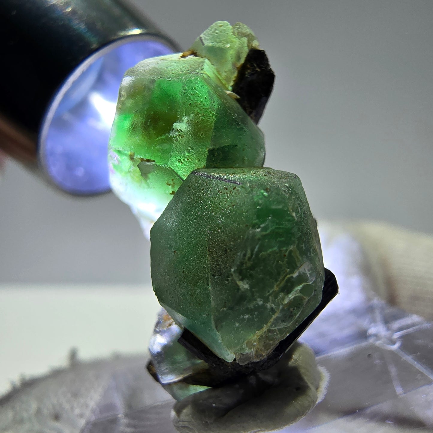 Spécimen de tourmaline Schorl hexagonale en cube de fluorite fantôme, Erongo, Namibie, 26 x 19 x 12 mm
