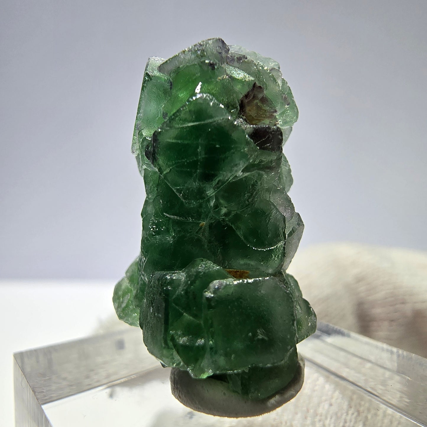 Cube de fluorite fantôme, spécimen de tourmaline Schorl, Erongo, Namibie, 26 x 15 x 15 mm