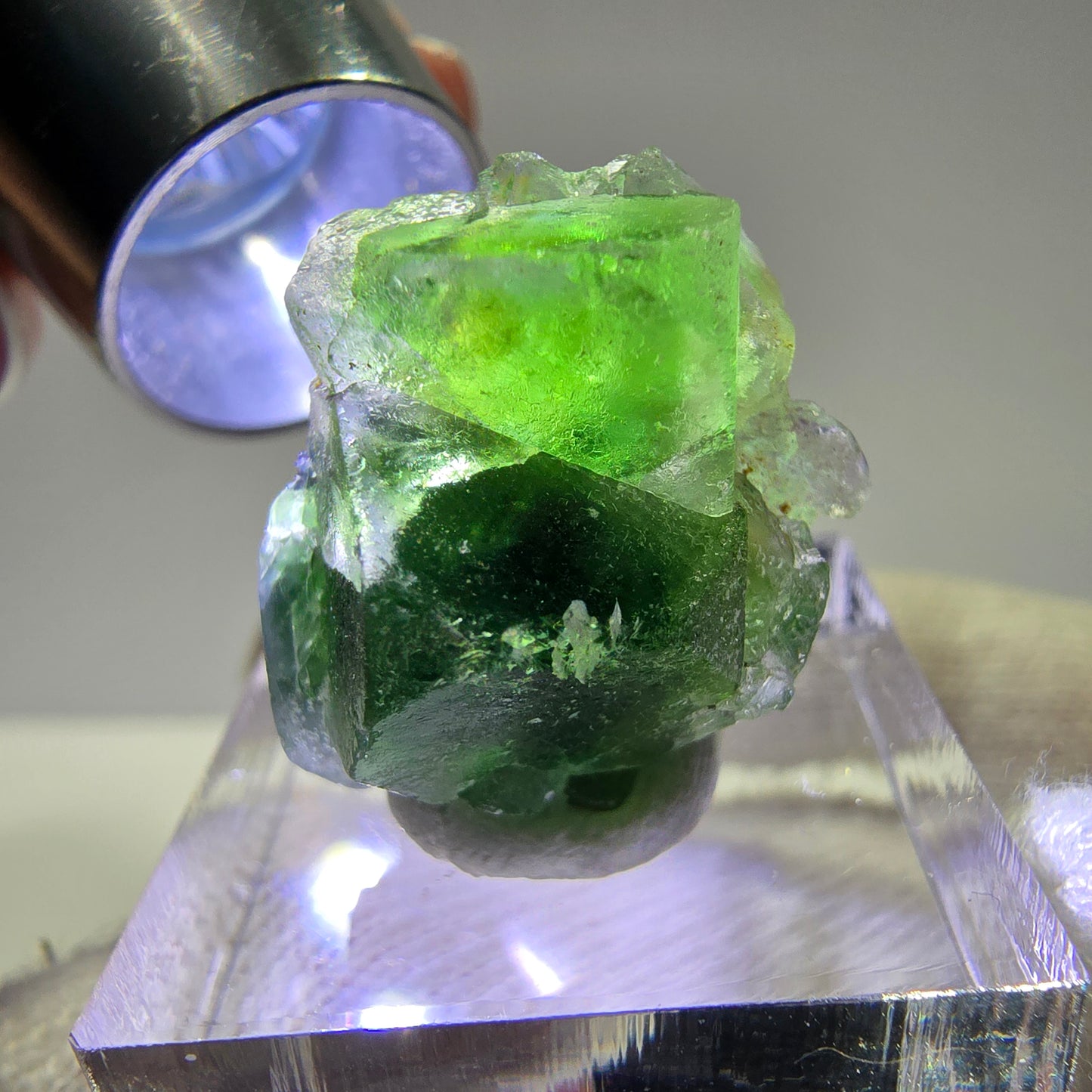 Cube de fluorite fantôme, spécimen de tourmaline Schorl, Erongo, Namibie, 23 x 19 x 15 mm