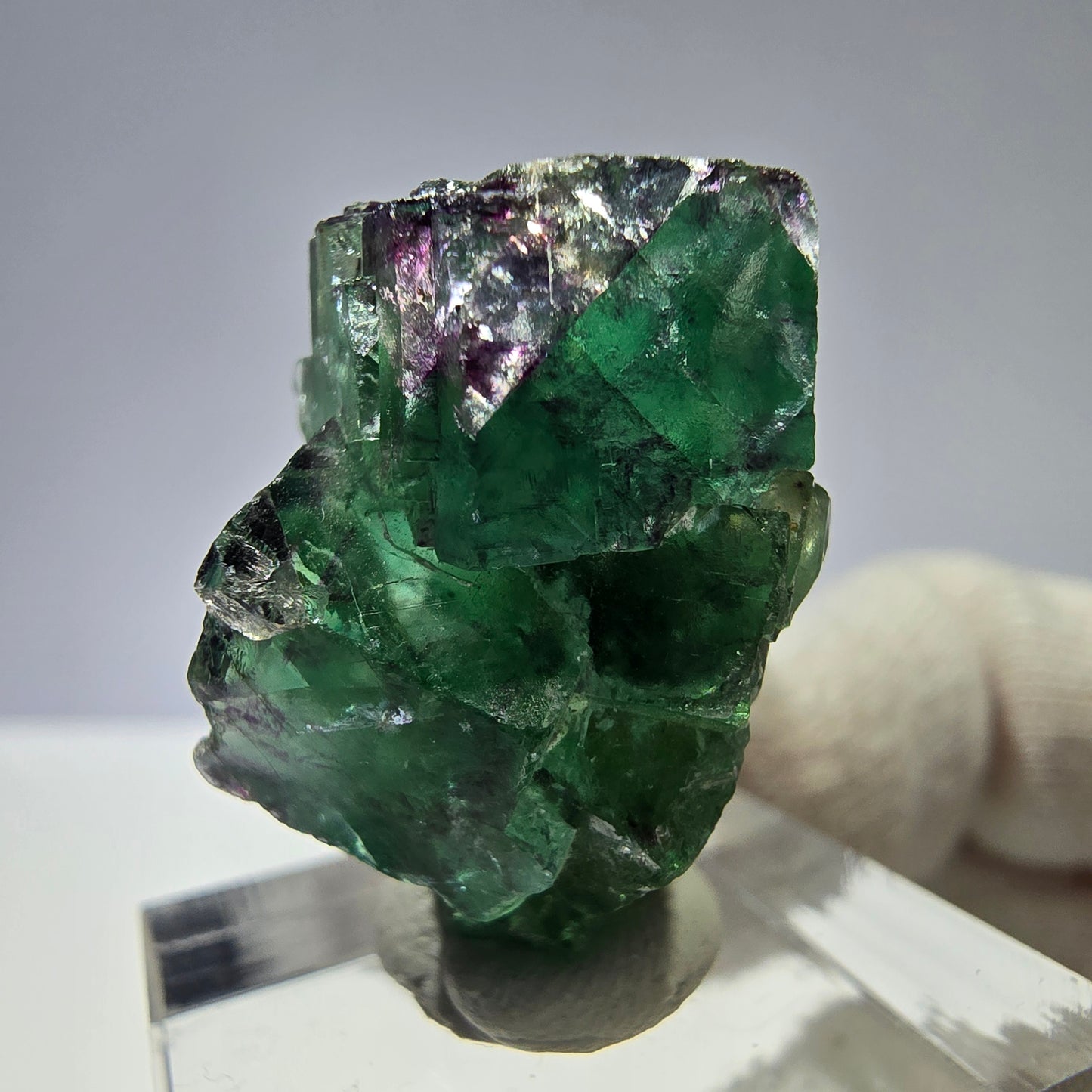 Morceaux de fluorite fantôme, vert violet zonal Okorusu, Namibie 28*24*15 mm