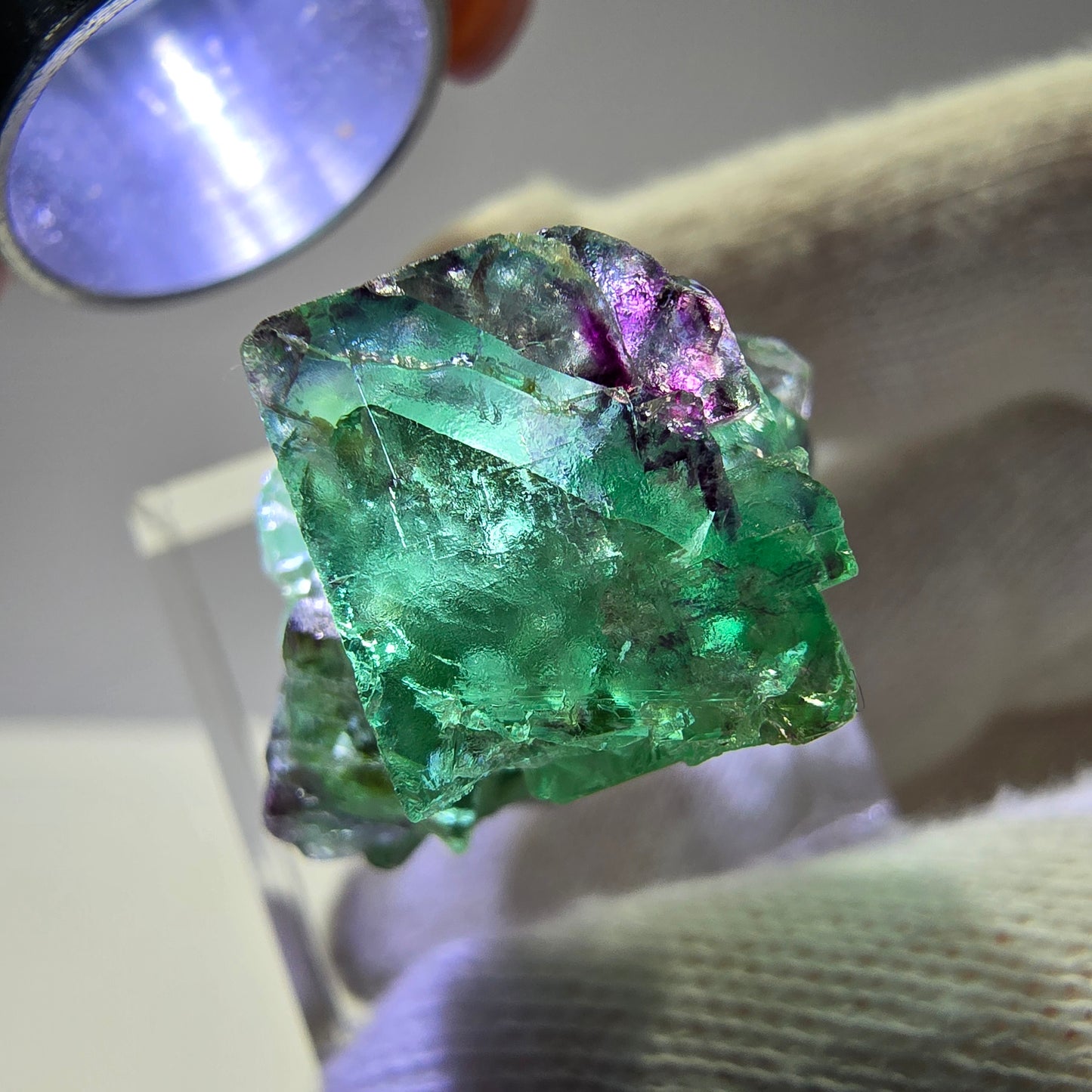Morceaux de fluorite fantôme, vert violet zonal Okorusu, Namibie 28*24*15 mm