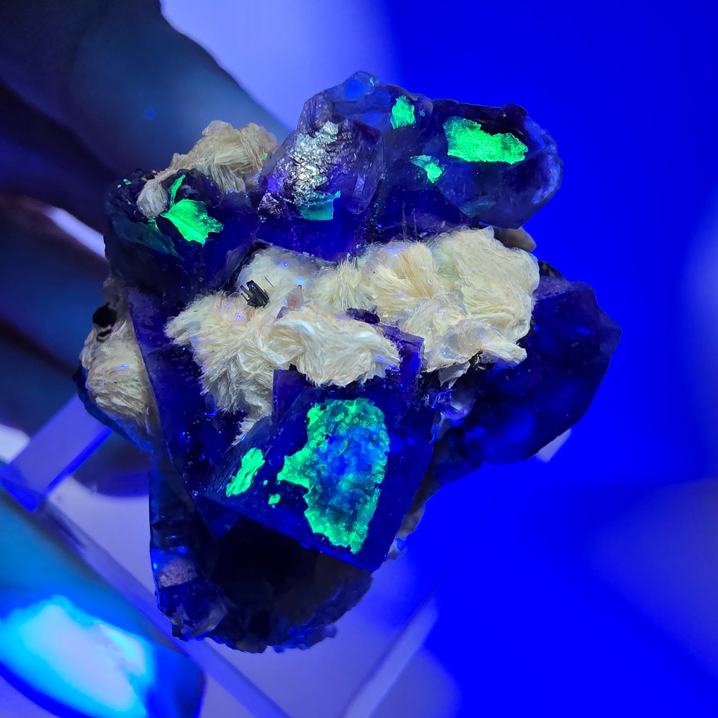 Fluorite fantôme colorée, tourmaline schol, muscovite, hyalite, Erongo, Namibie, 32 x 27 x 20 mm