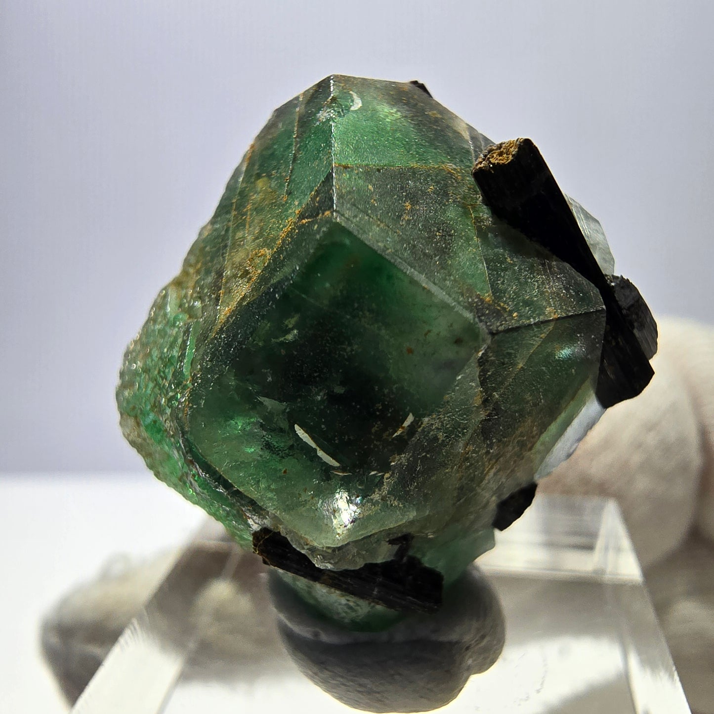 Spécimen de tourmaline Schorl hexagonale en fluorite fantôme, Erongo, Namibie, 23 x 22 x 22 mm