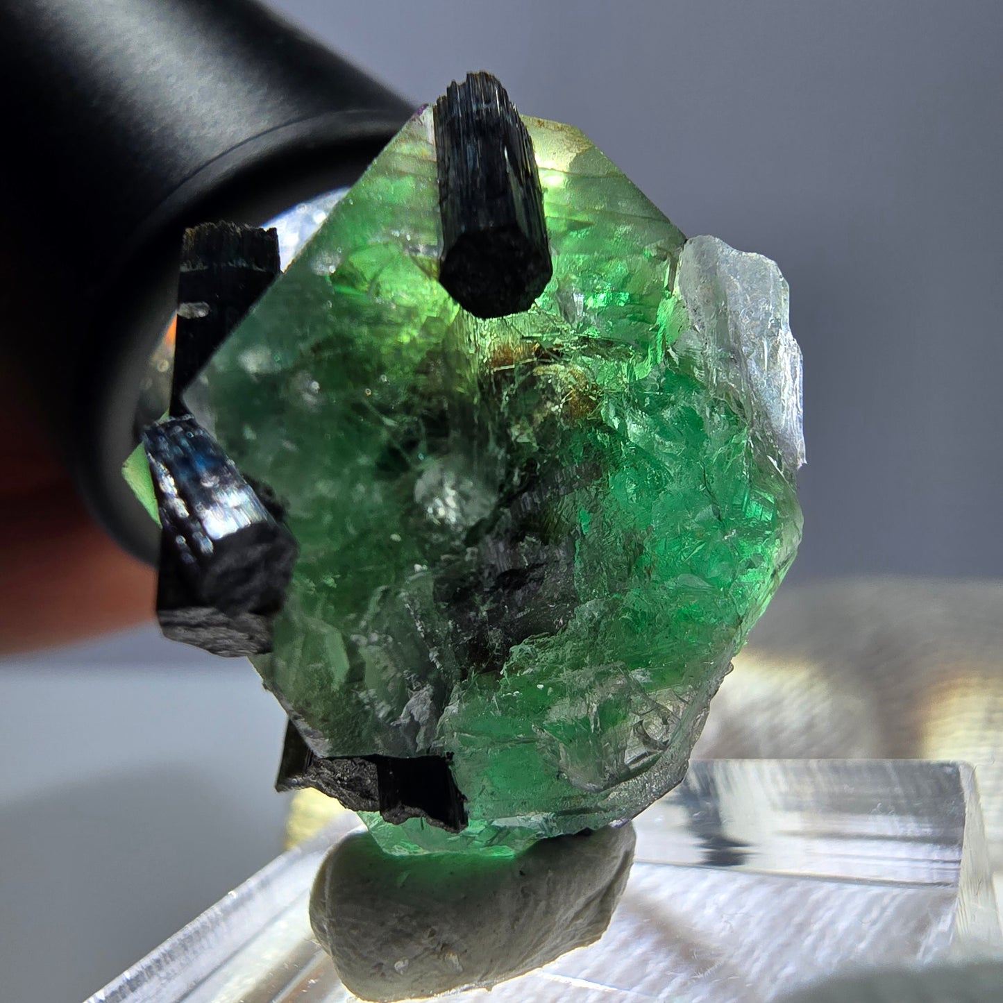 Spécimen de tourmaline Schorl hexagonale en fluorite fantôme, Erongo, Namibie, 23 x 22 x 22 mm
