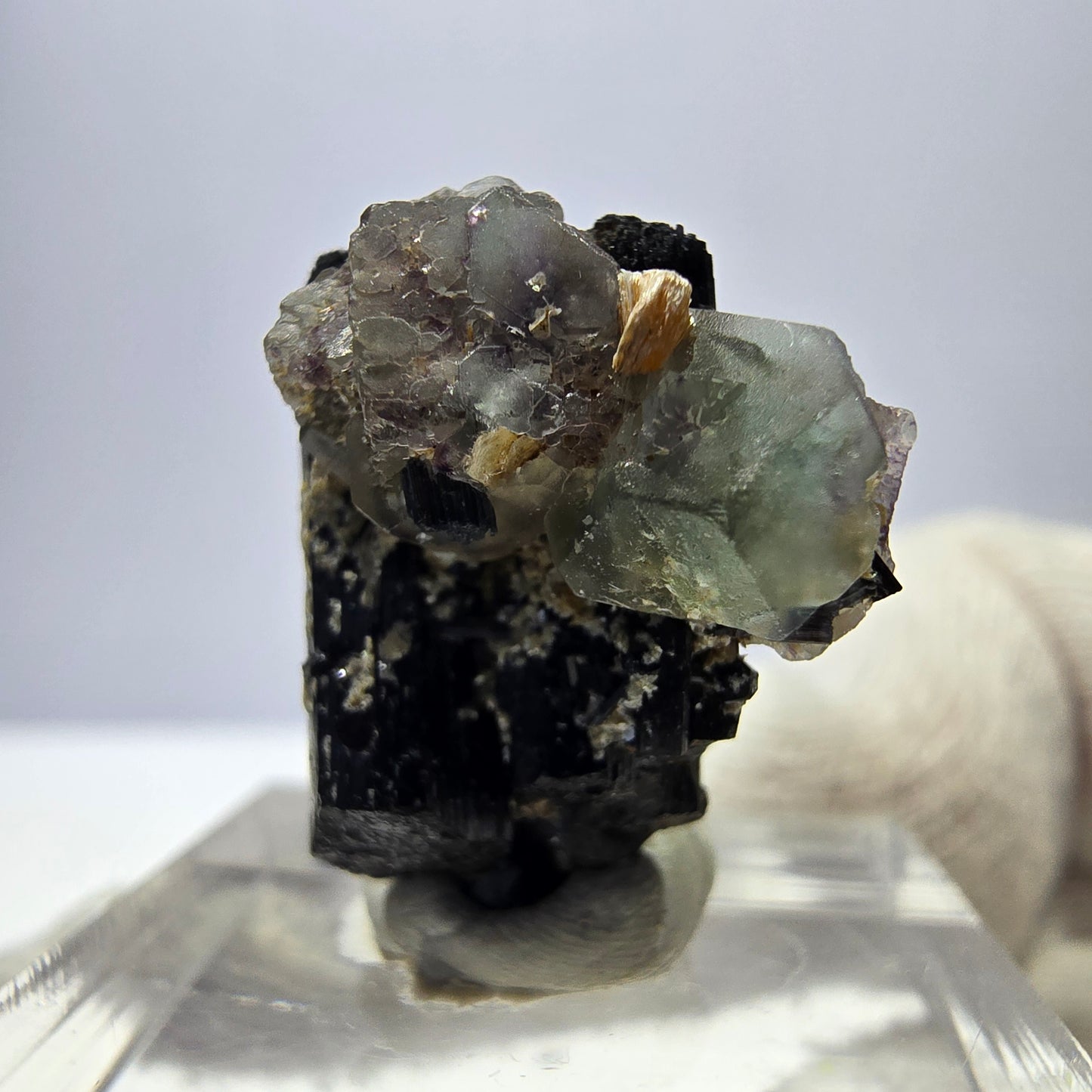 Spécimen de tourmaline Schorl hexagonale en fluorite fantôme, Erongo, Namibie, 21 x 17 x 12 mm