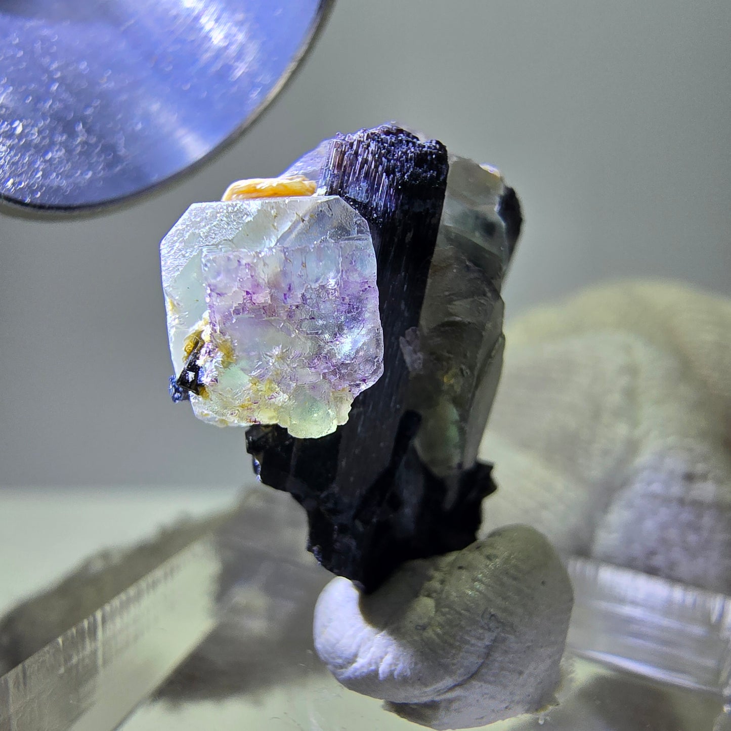 Spécimen de tourmaline Schorl hexagonale en fluorite fantôme, Erongo, Namibie, 21 x 17 x 12 mm