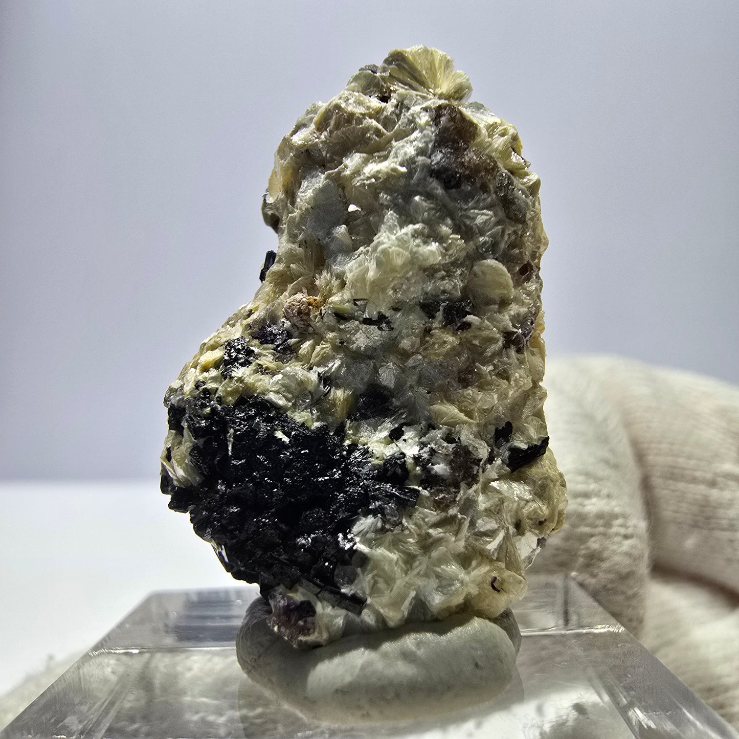 Spécimen de fluorite fantôme colorée, tourmaline scholle, muscovite, Erongo, Namibie, 30 x 19 x 20 mm