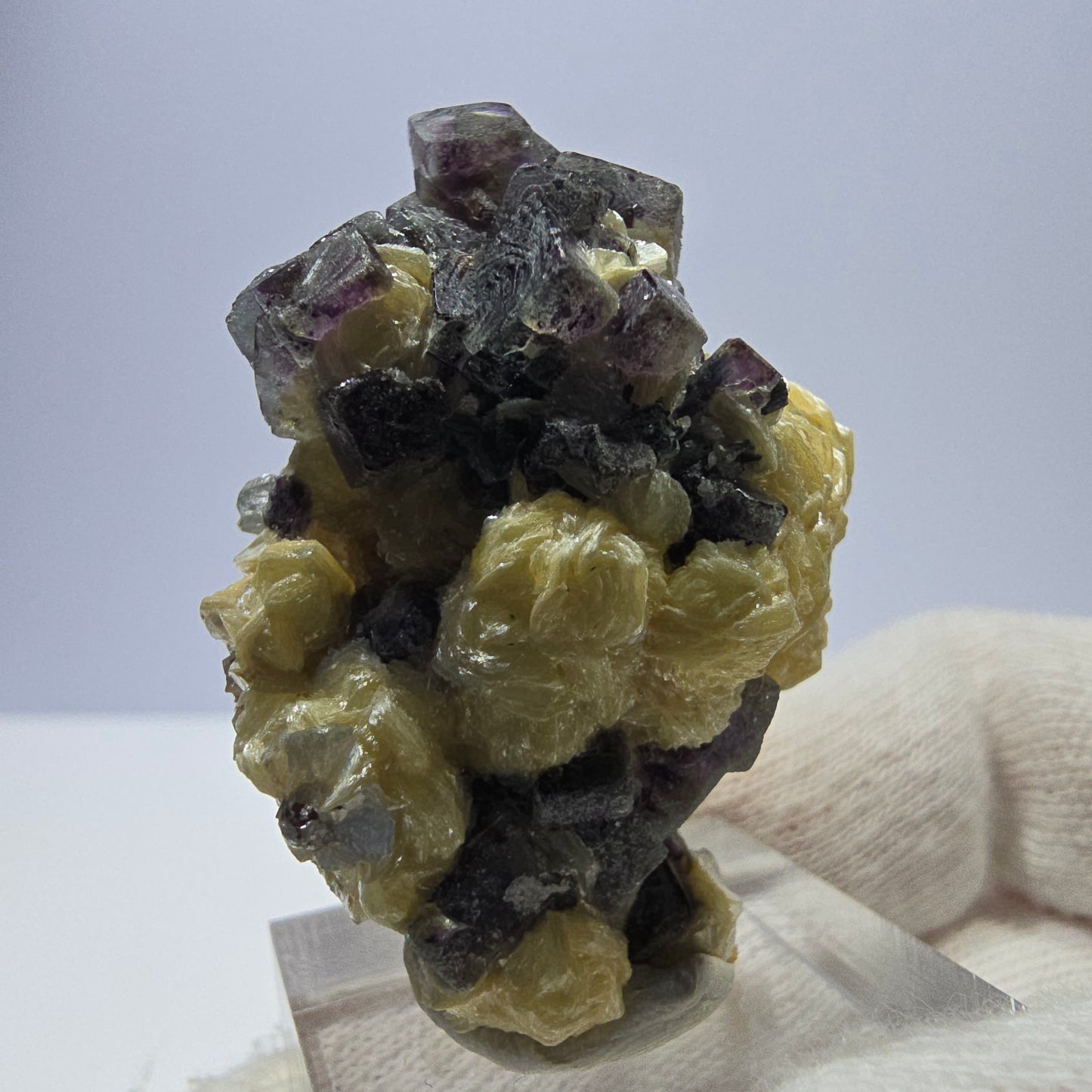 Cubes de fluorite fantôme colorés, spécimen de muscovite, Erongo, Namibie, 43 x 35 x 25 mm