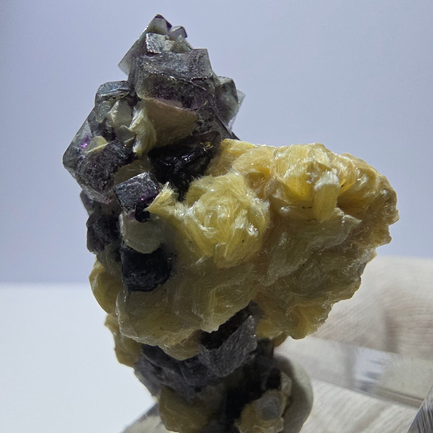 Cubes de fluorite fantôme colorés, spécimen de muscovite, Erongo, Namibie, 43 x 35 x 25 mm