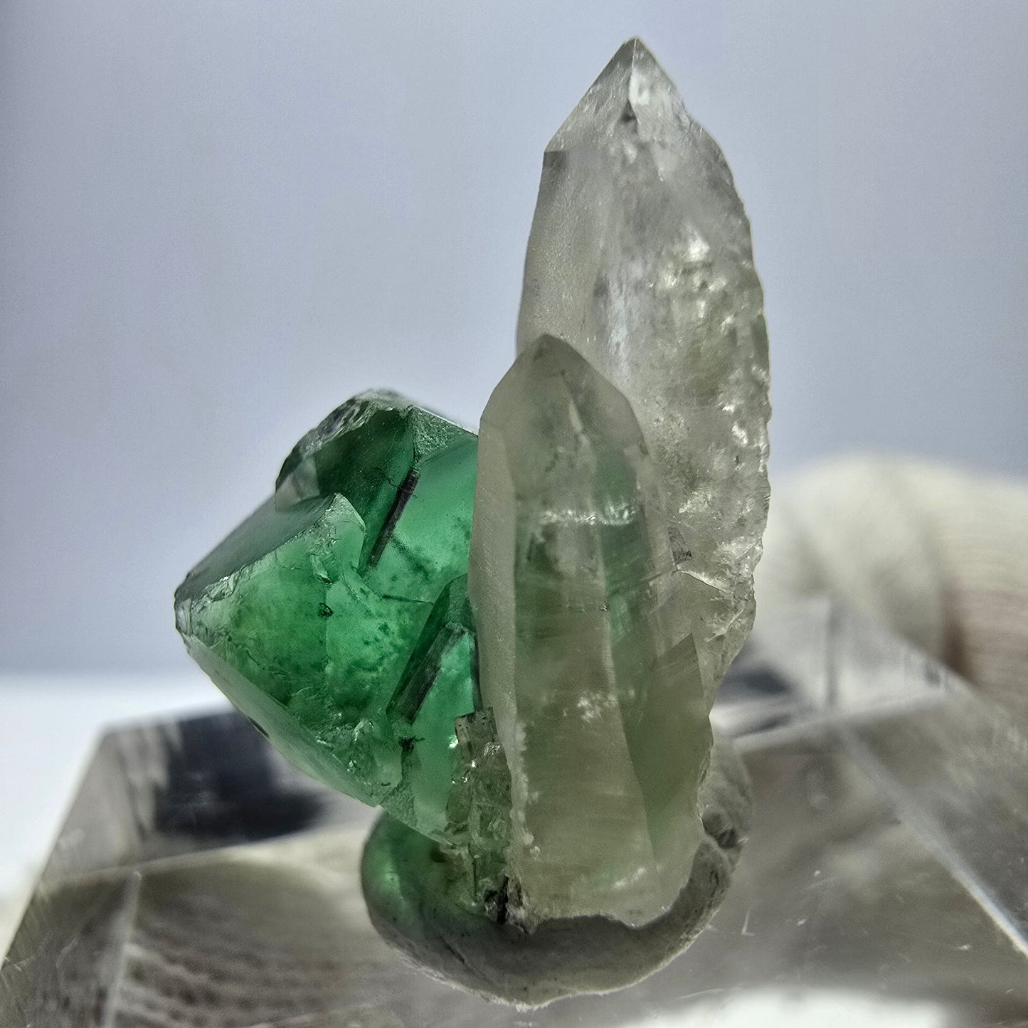 Cube de fluorite fantôme, spécimen de quartz fumé, Erongo, Namibie, 19 x 10 x 12 mm