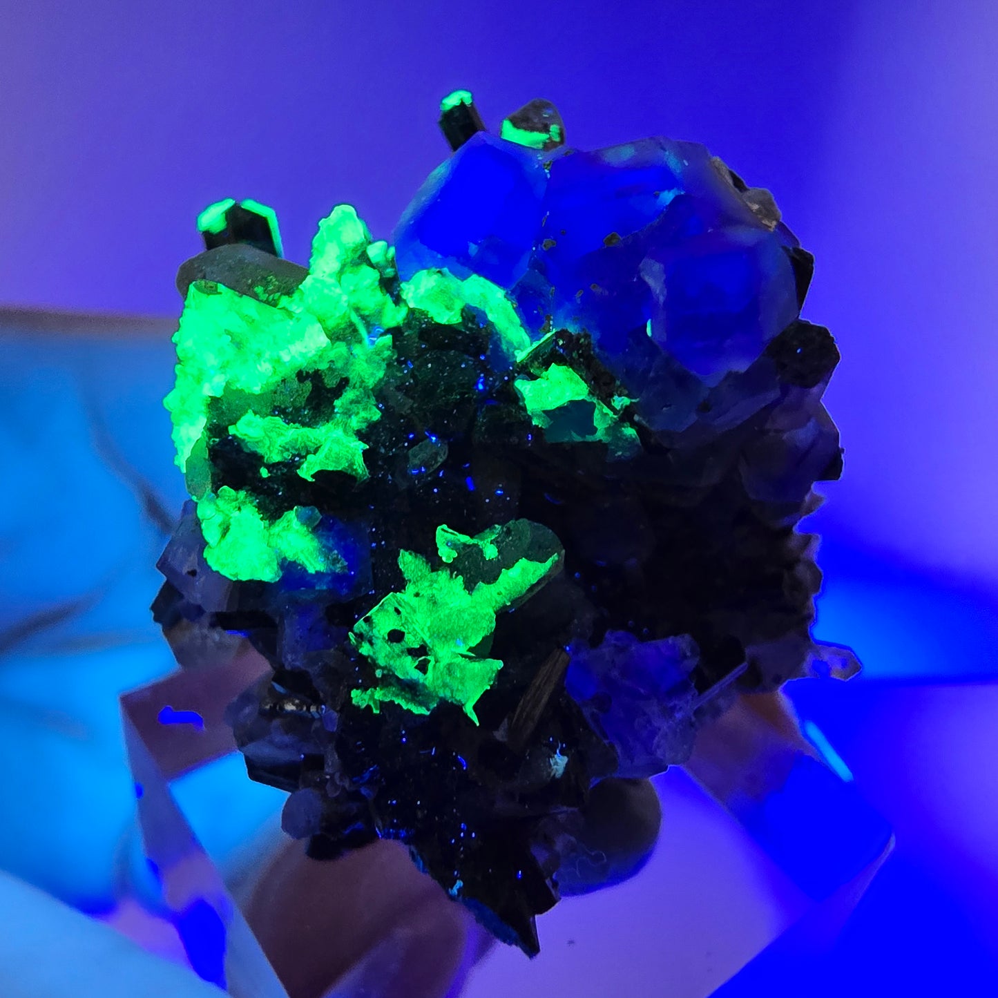 Fluorite fantôme hexagonale, tourmaline Schörl, quartz fumé, hyalite, Erongo, Namibie, 34 x 30 x 31 mm
