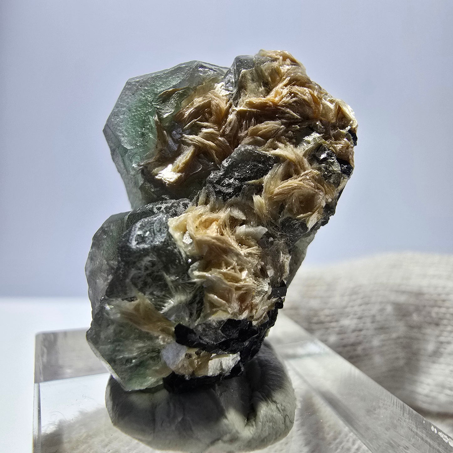 Cube de fluorite fantôme, spécimen hexagonal de tourmaline muscovite Schorl, Erongo, Namibie, 33 x 21 x 19 mm