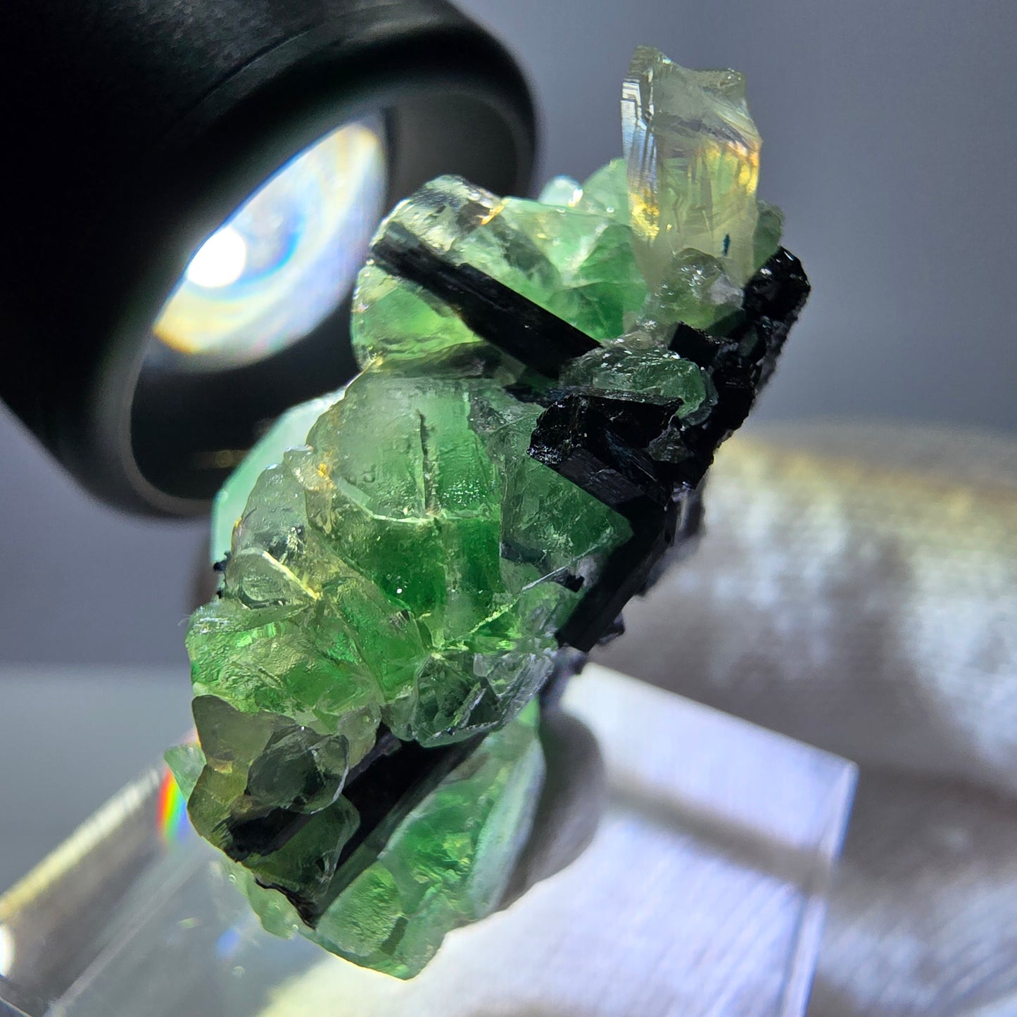 Spécimen de fluorite fantôme, tourmaline Schorl et quartz fumé, Erongo, Namibie, 31 x 25 x 17 mm
