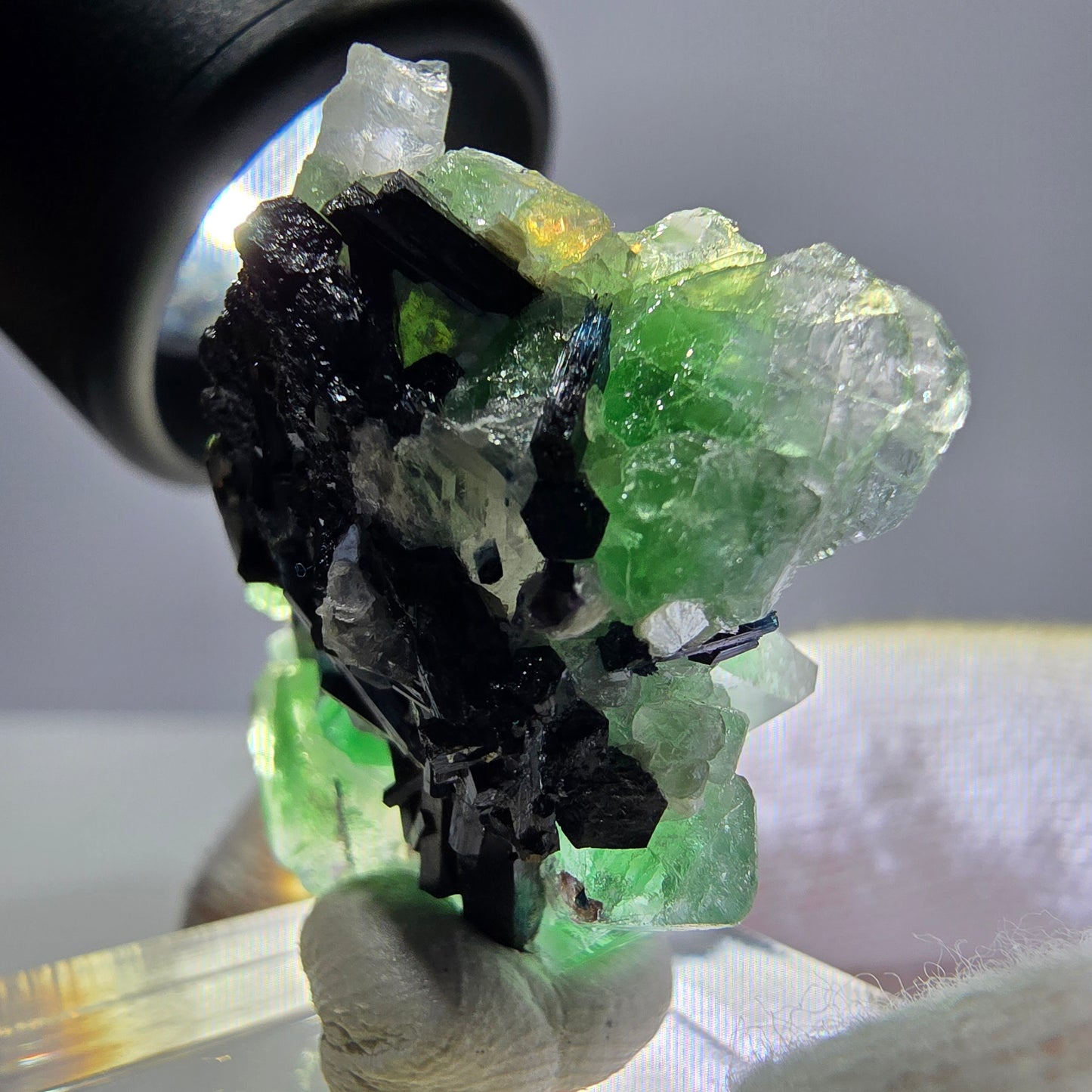 Spécimen de fluorite fantôme, tourmaline Schorl et quartz fumé, Erongo, Namibie, 31 x 25 x 17 mm